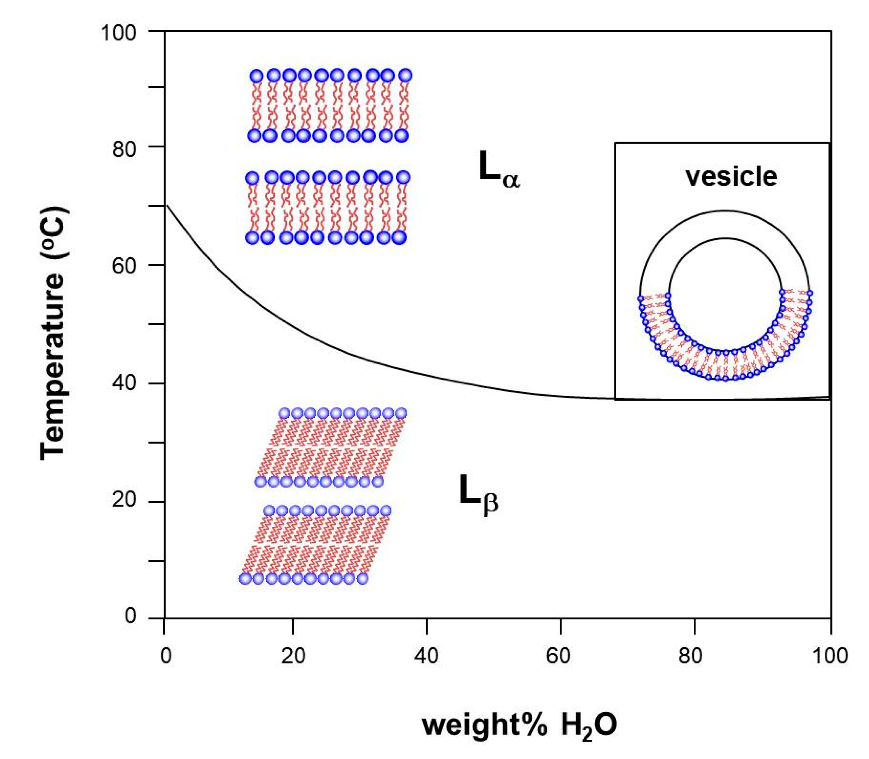 Molecules 26 04233 g005