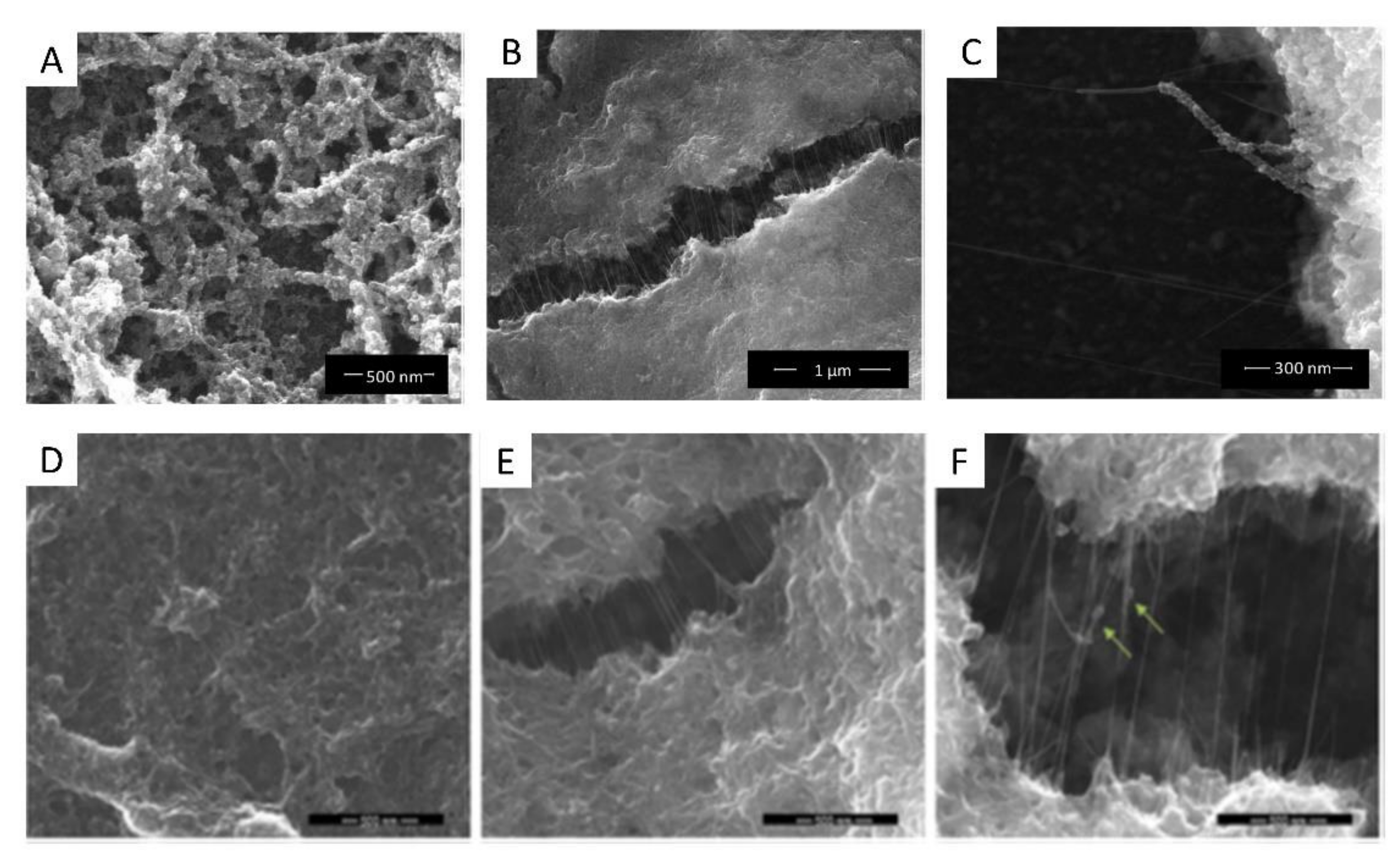 Molecules 26 04236 g004 550