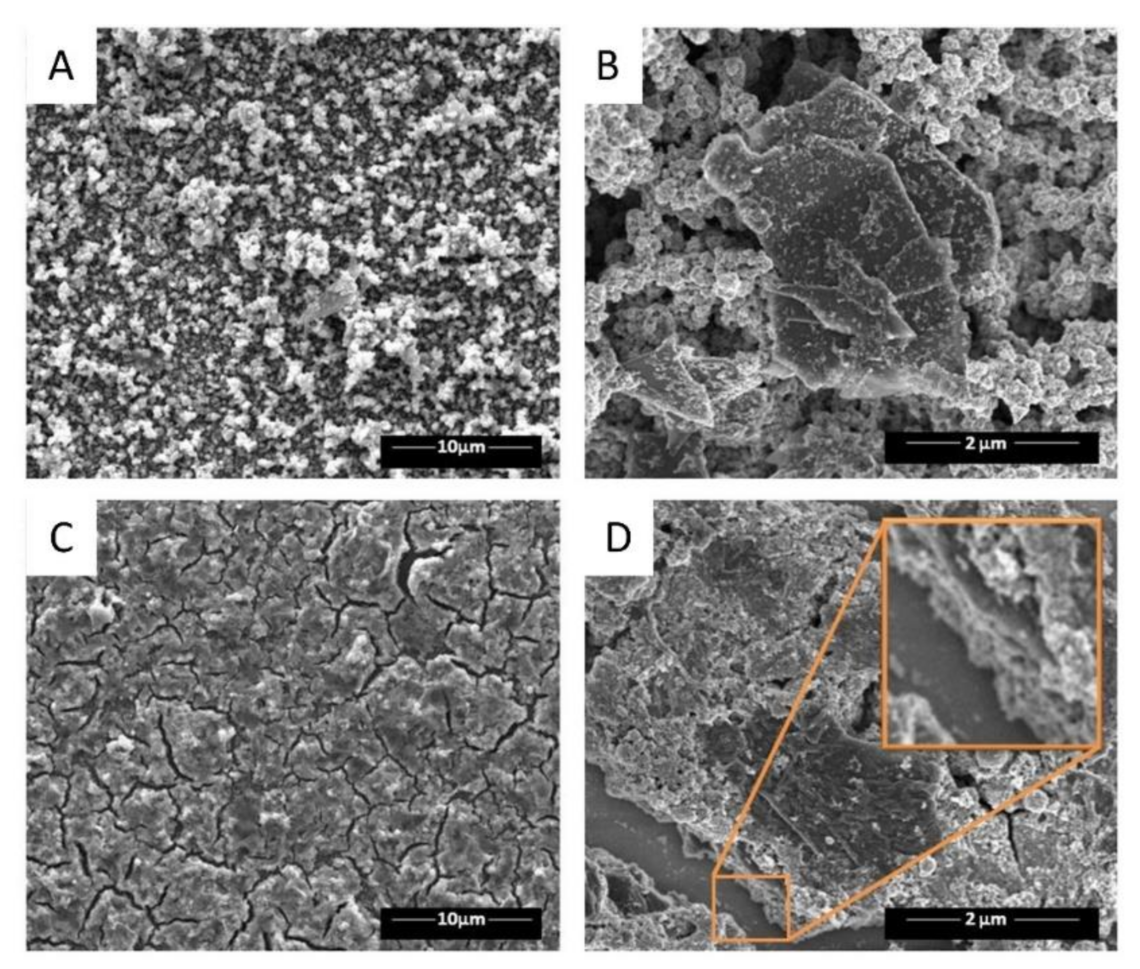 Molecules 26 04236 g005 550