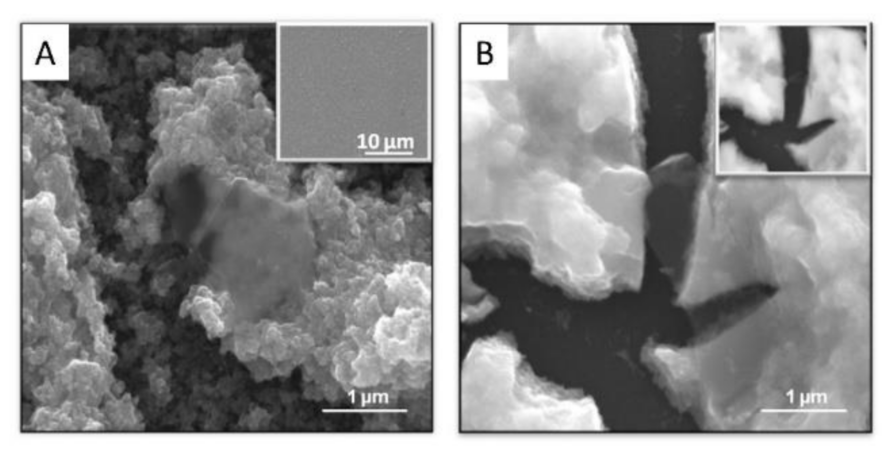 Molecules 26 04236 g006 550