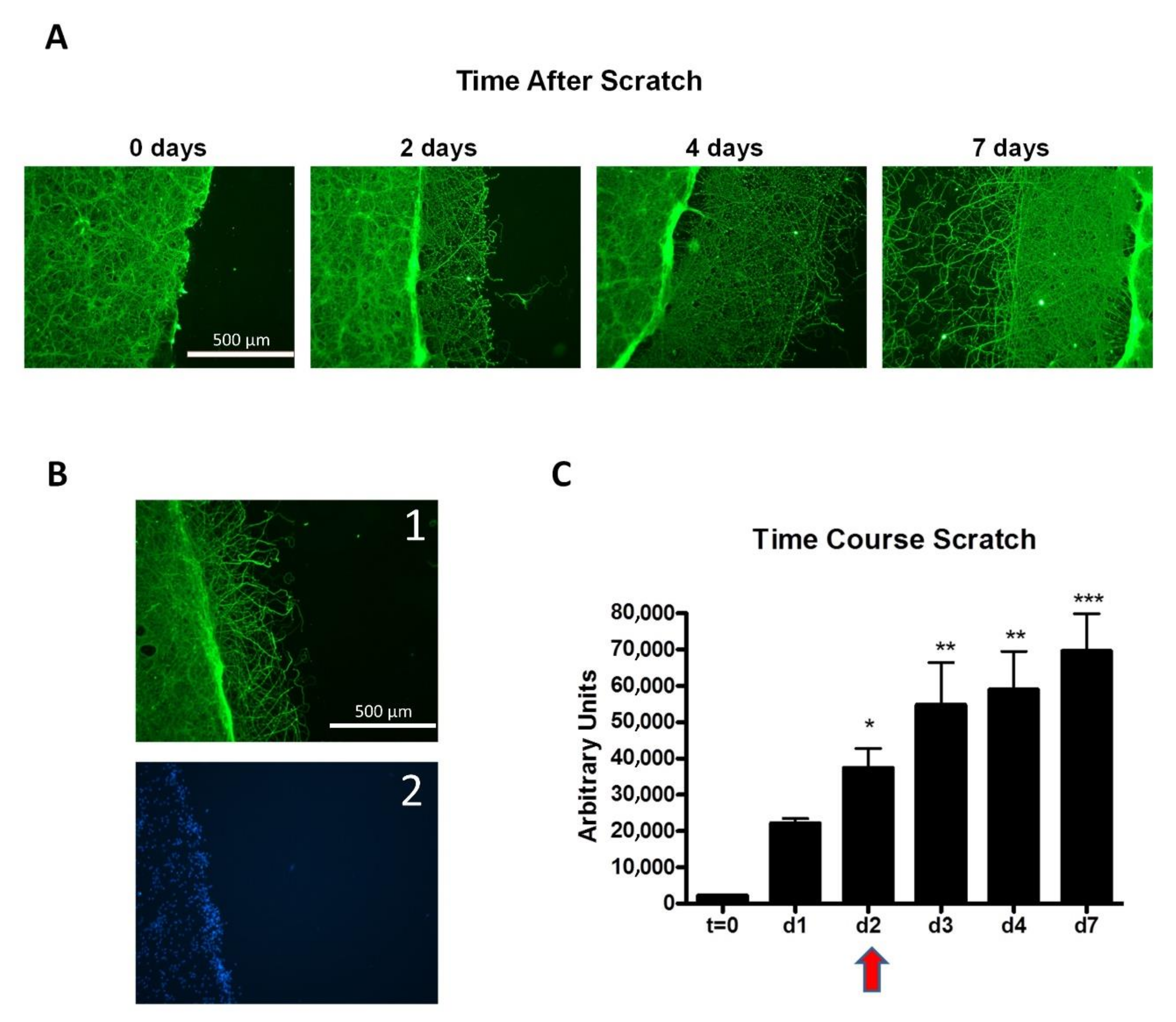 Molecules 26 04236 g013 550