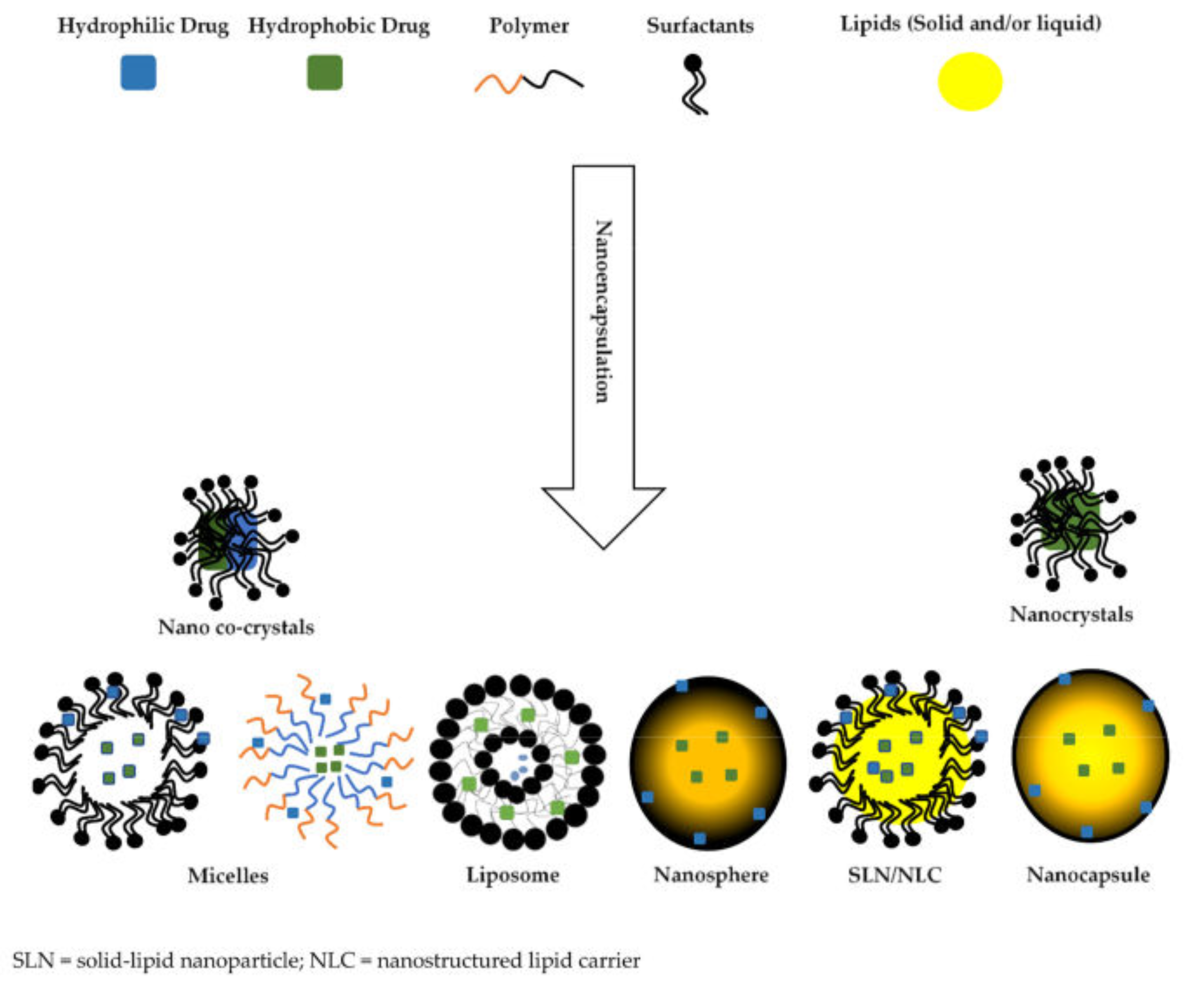 Molecules 26 04244 g002