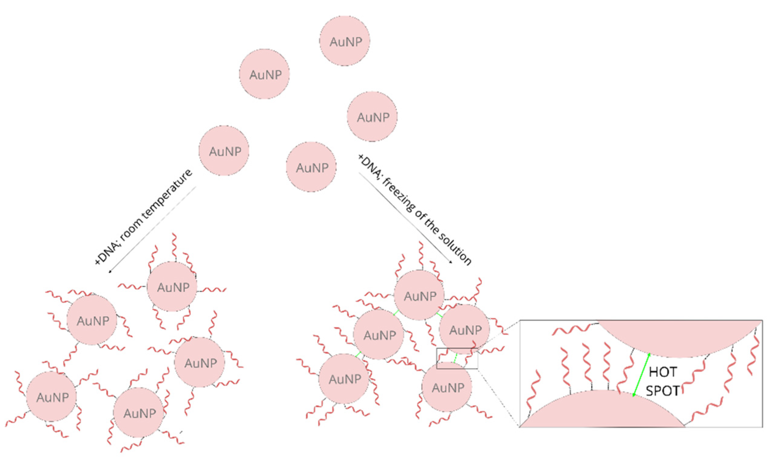 Molecules 26 04246 g004 Molecules 26 04246 g004