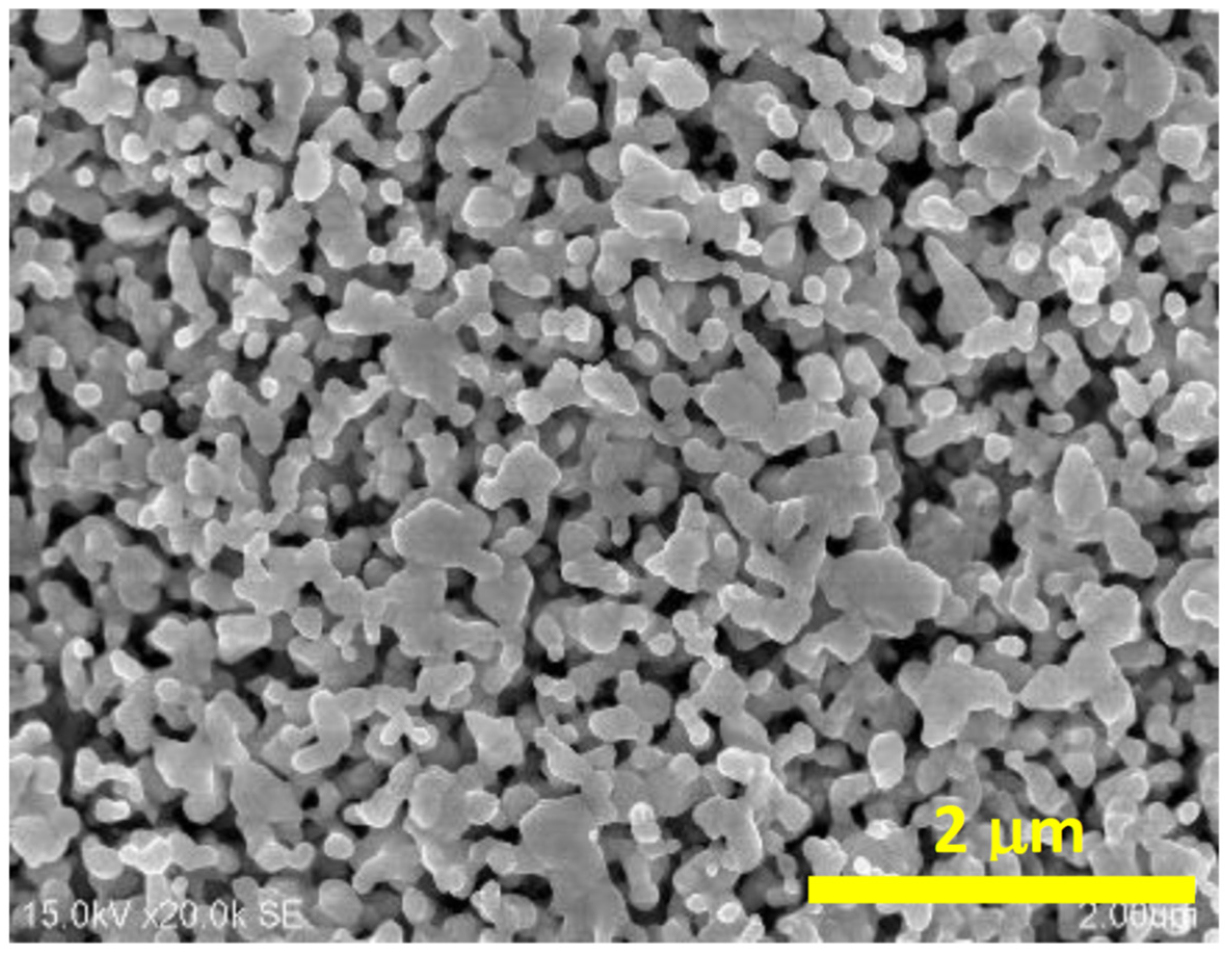 Molecules 26 04246 g011 Molecules 26 04246 g011