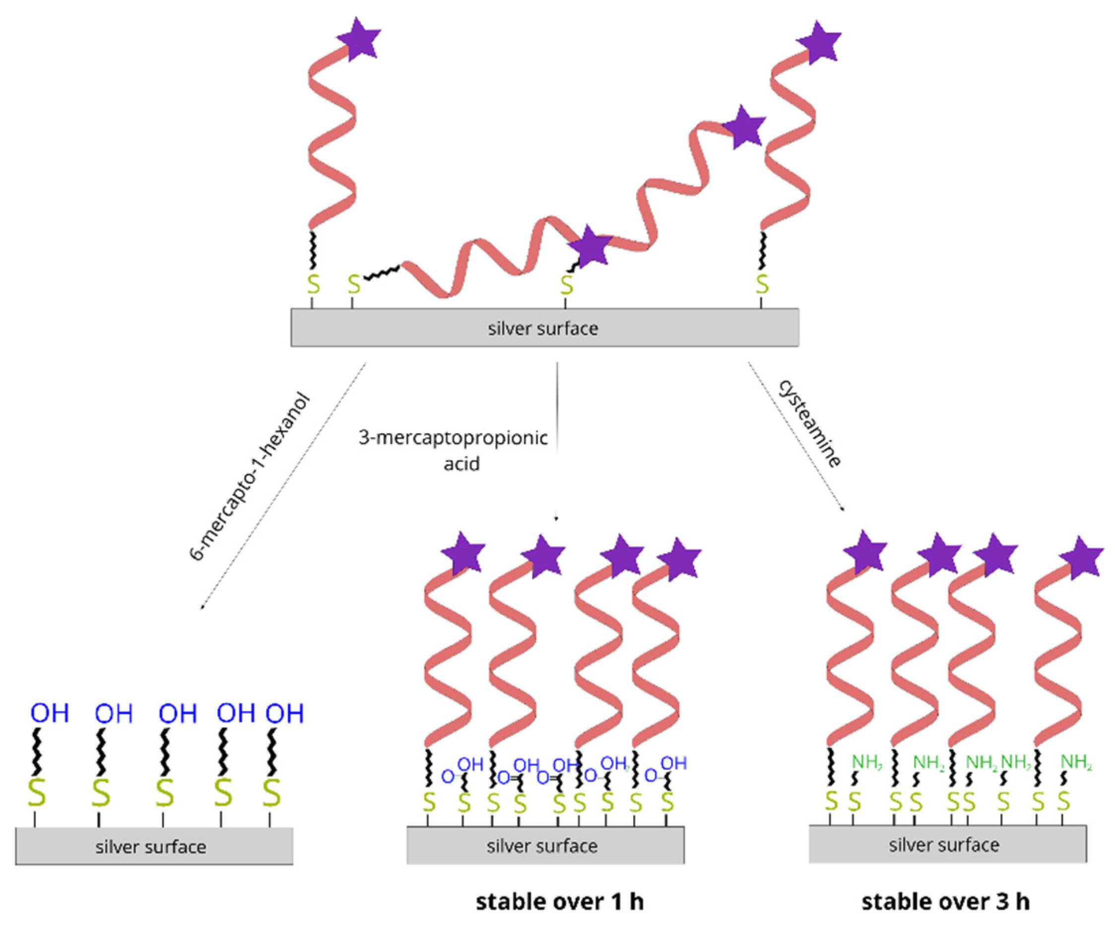 Molecules 26 04246 g012 Molecules 26 04246 g012
