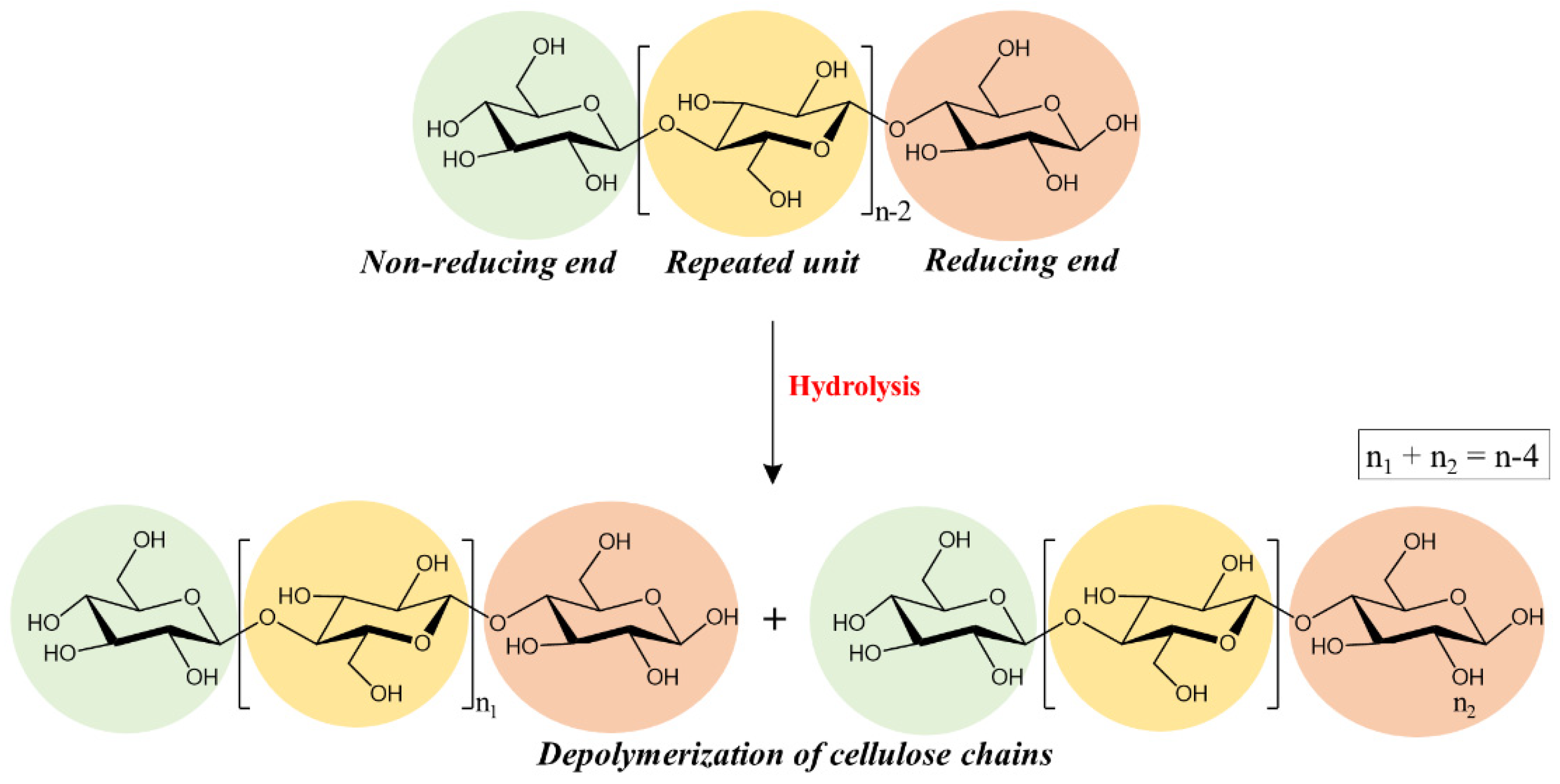 Molecules 26 04249 g001 550