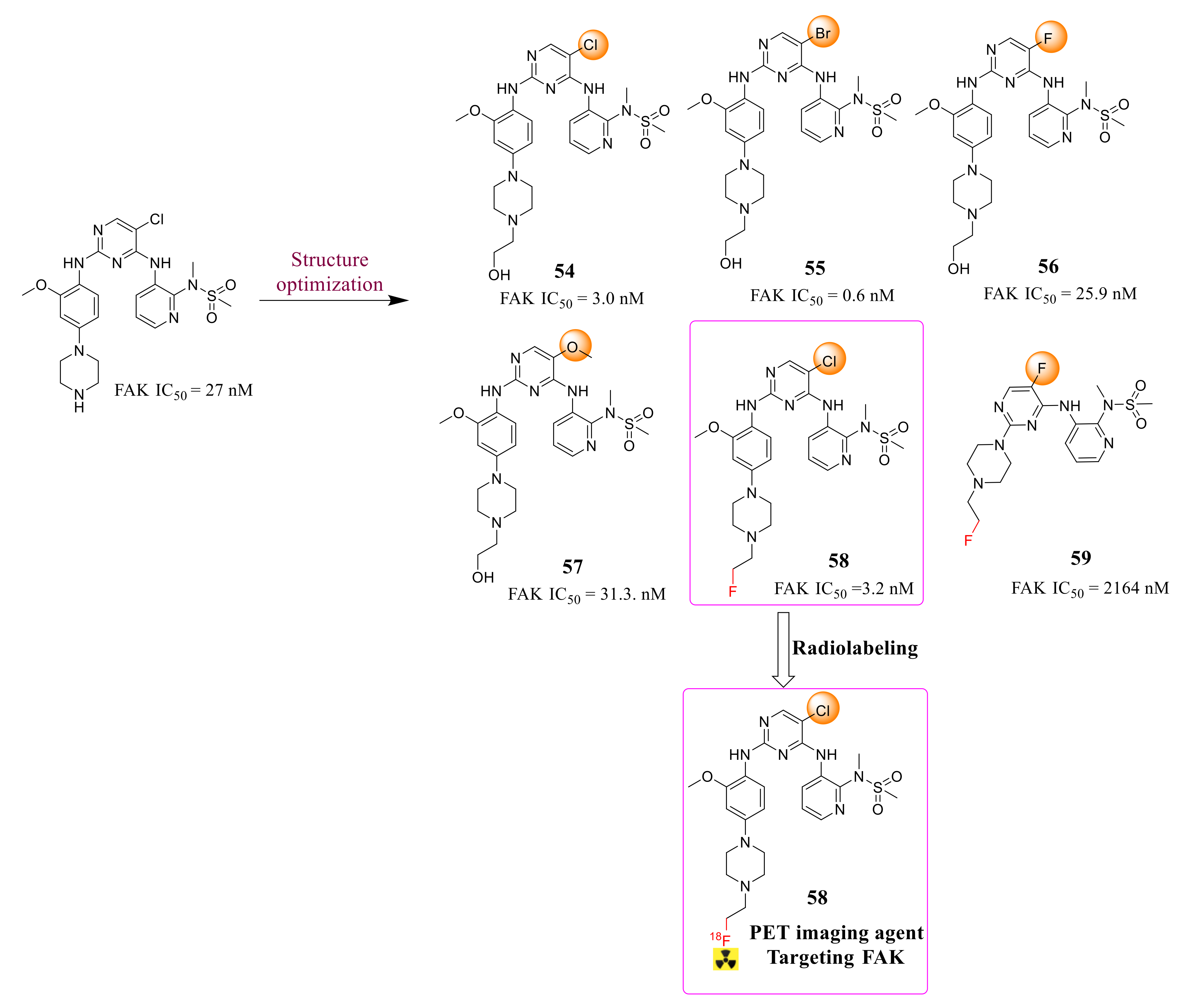 Molecules 26 04250 g019