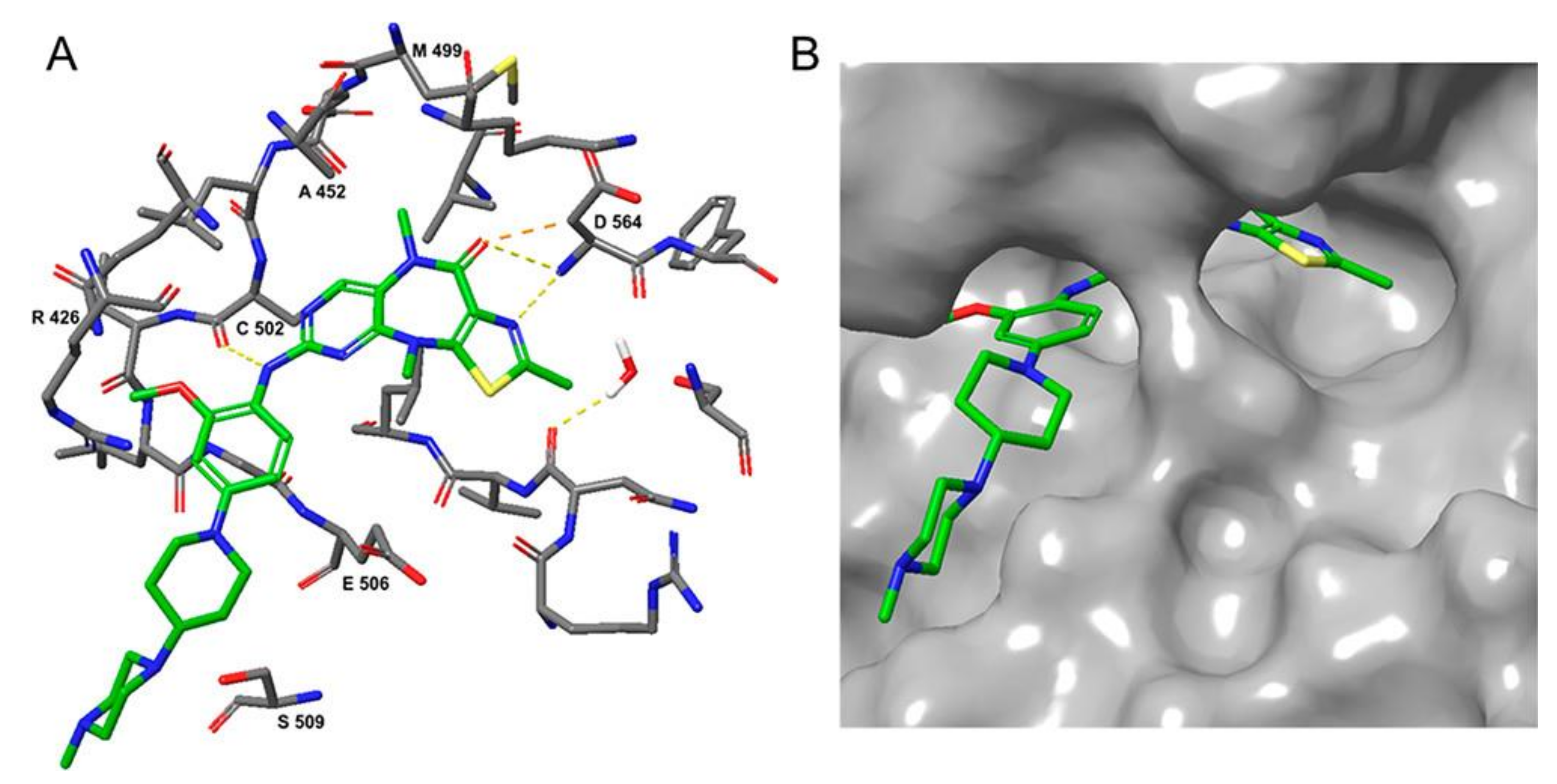 Molecules 26 04250 g025
