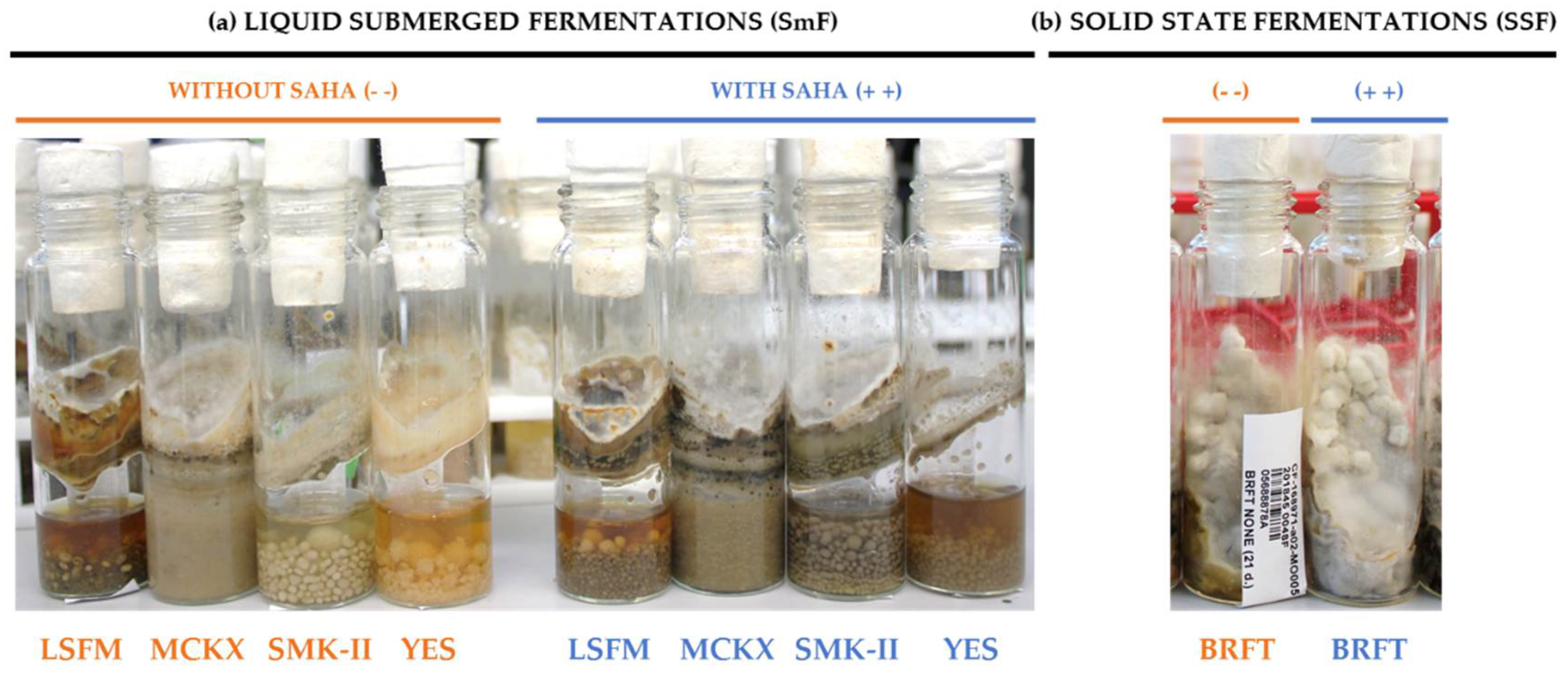 Molecules 26 04262 g001