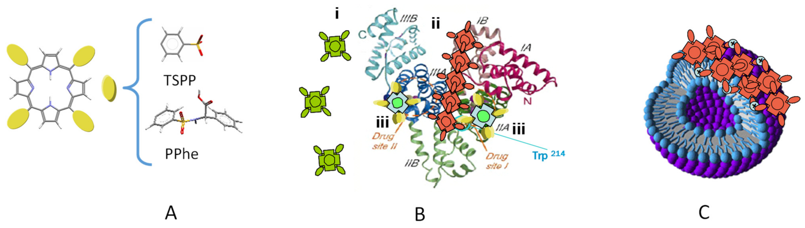 Molecules 26 04264 g002 Molecules 26 04264 g002