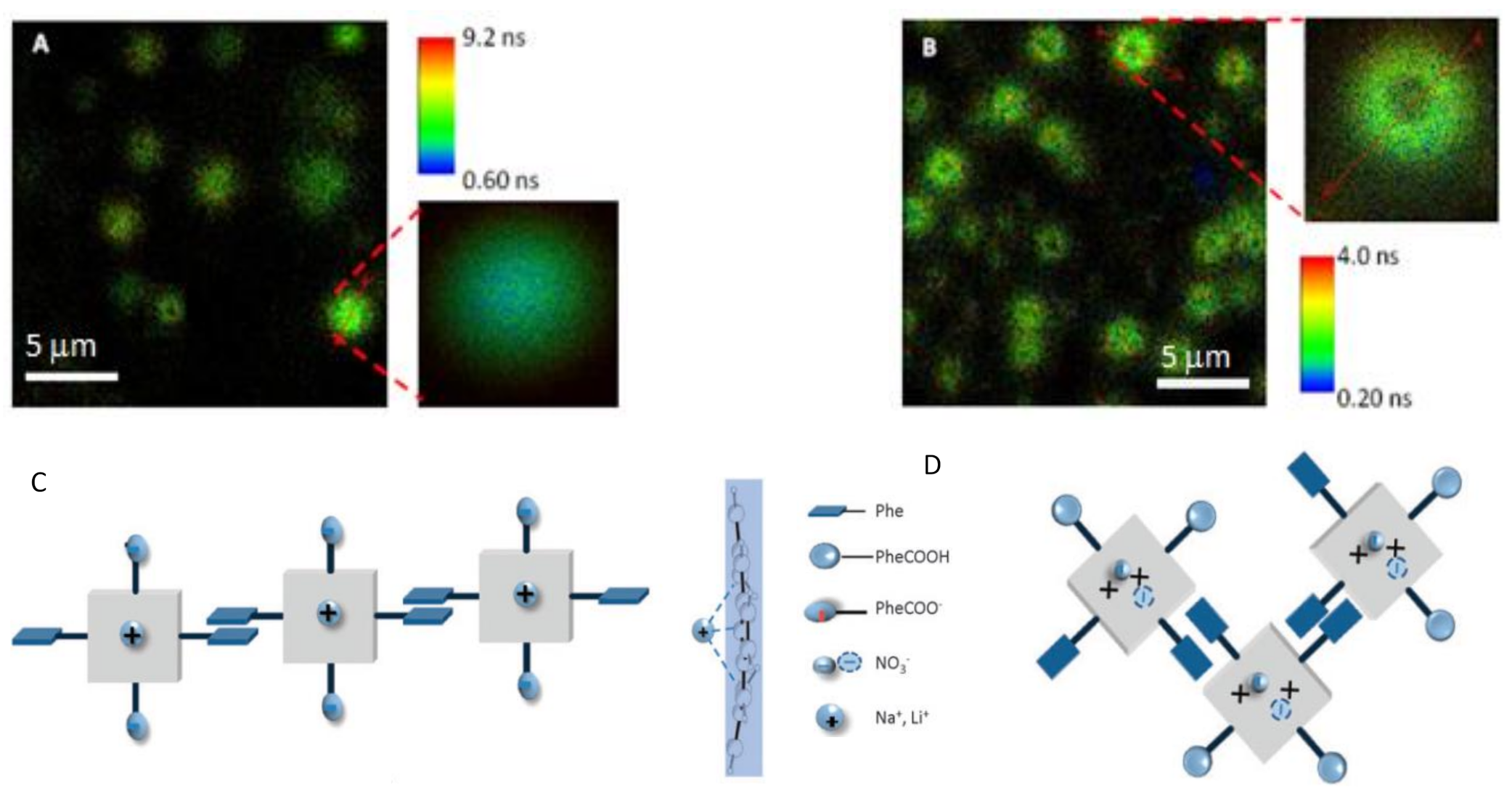 Molecules 26 04264 g003 Molecules 26 04264 g003