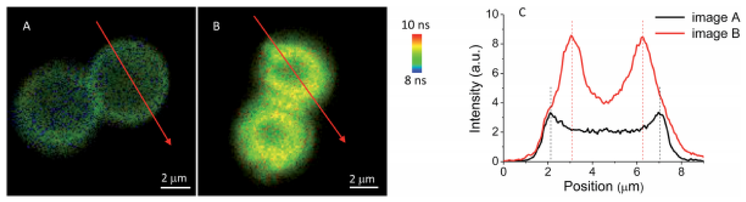 Molecules 26 04264 g004 Molecules 26 04264 g004