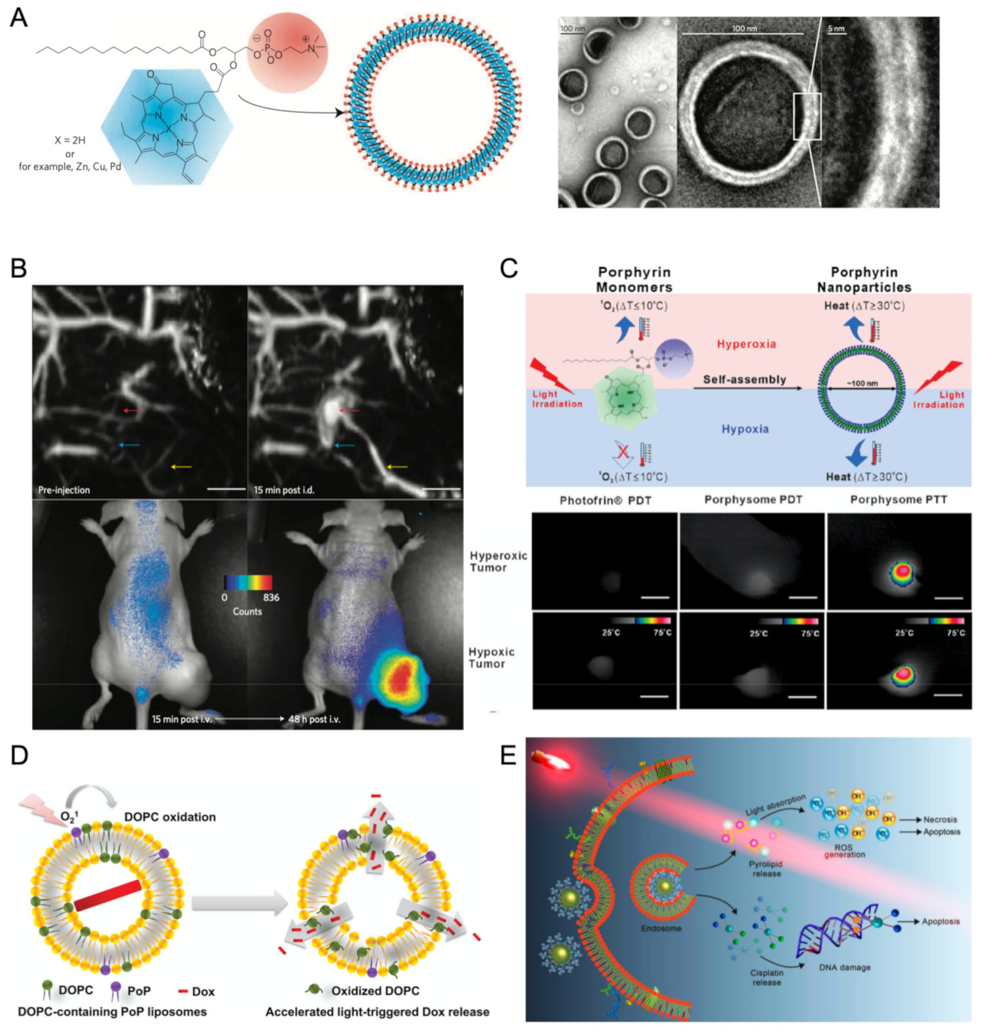 Molecules 26 04264 g008 Molecules 26 04264 g008