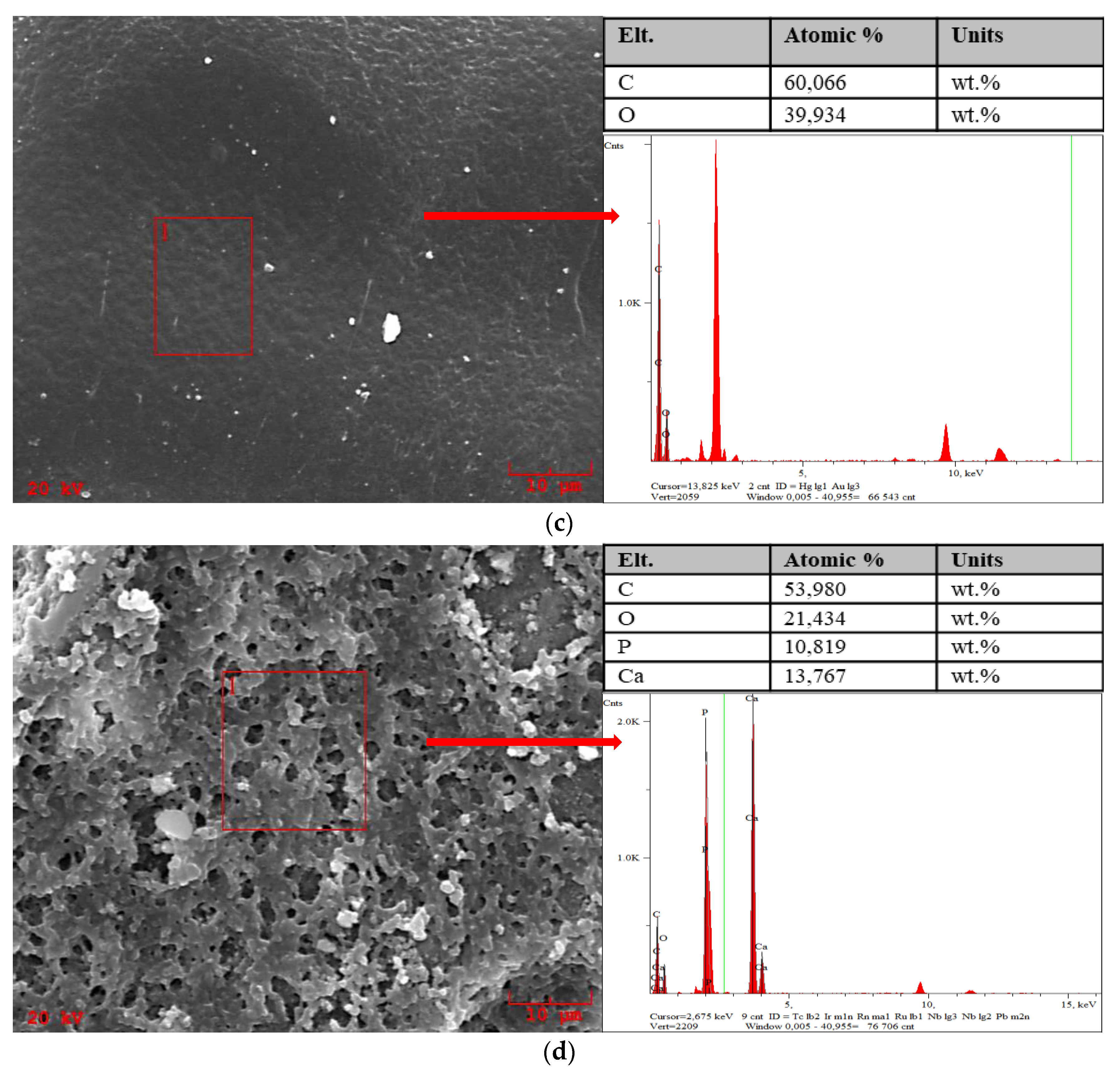Molecules 26 04268 g008b 550
