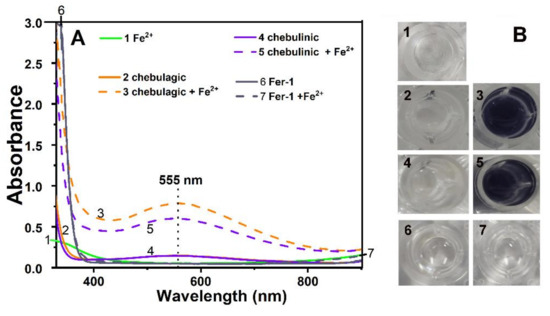 Ferroptosis-Inhibitory Difference between Chebulagic Acid
