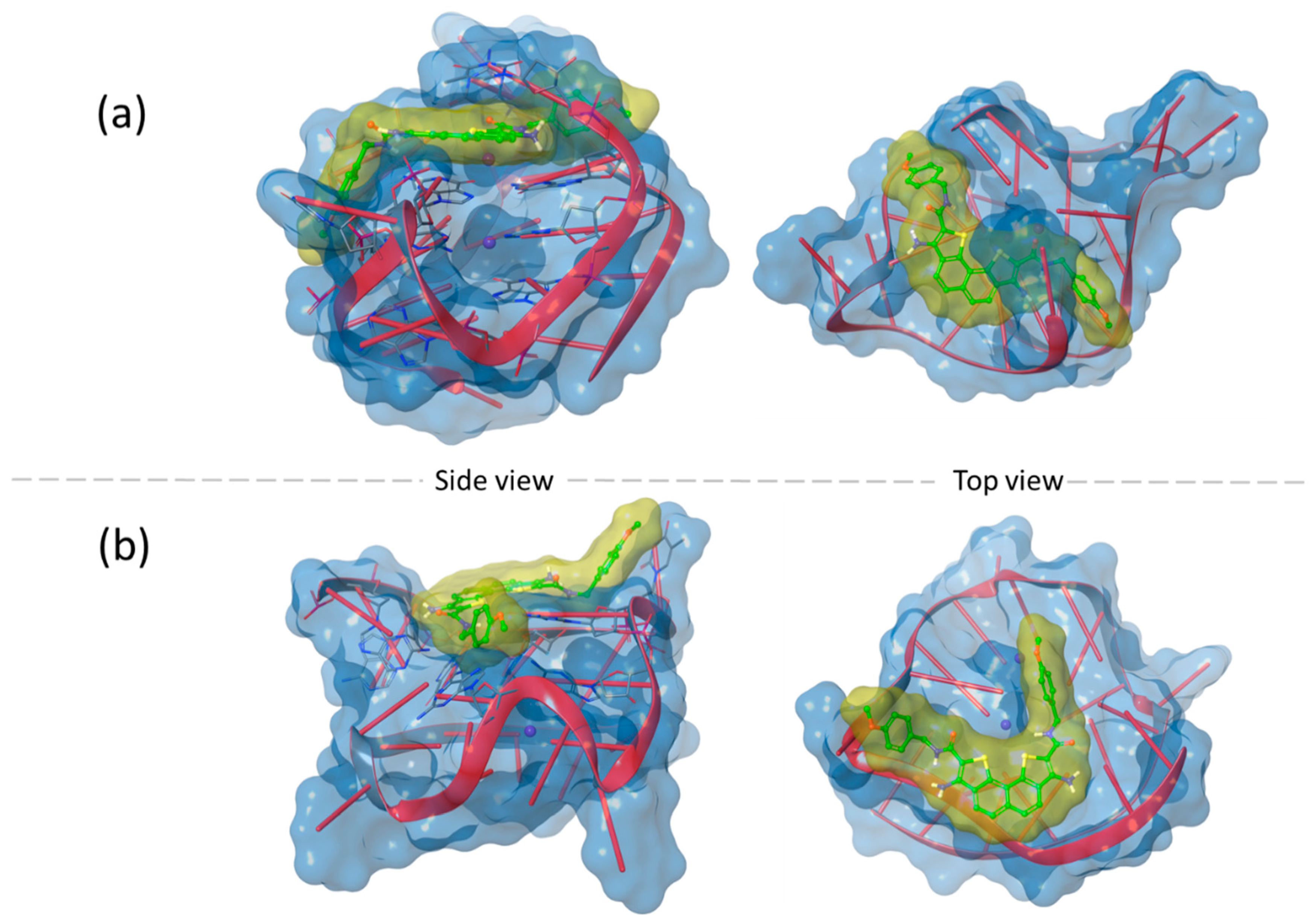 Molecules 26 04309 g004