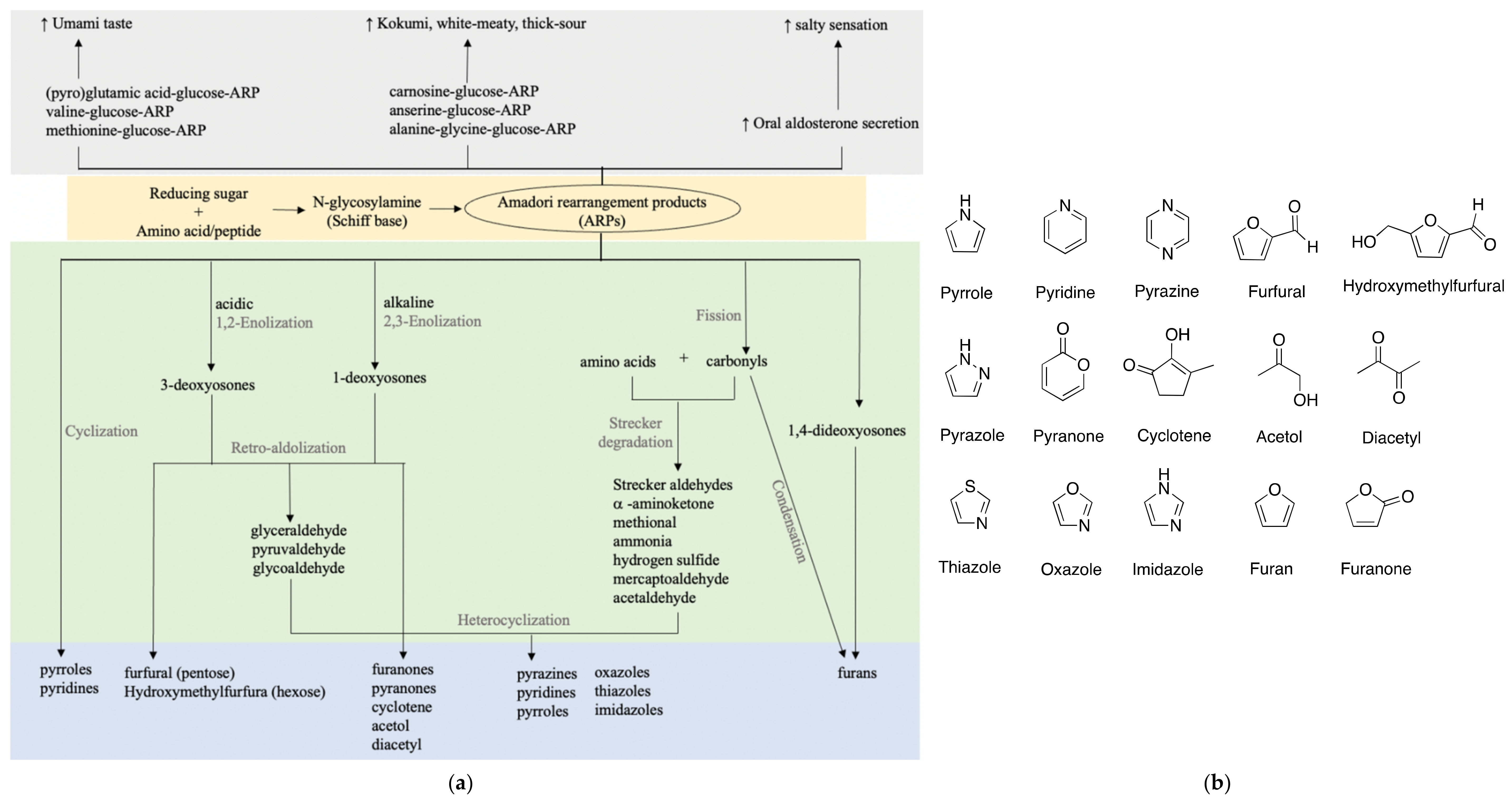 Molecules 26 04314 g002
