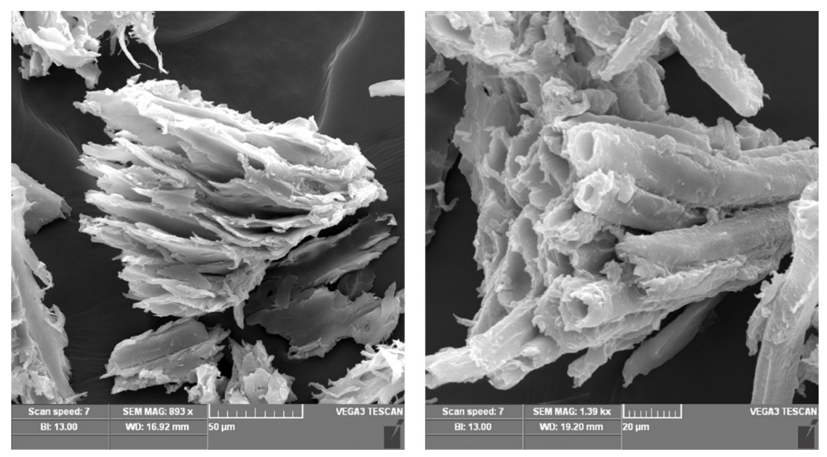Molecules 26 04318 g003 550