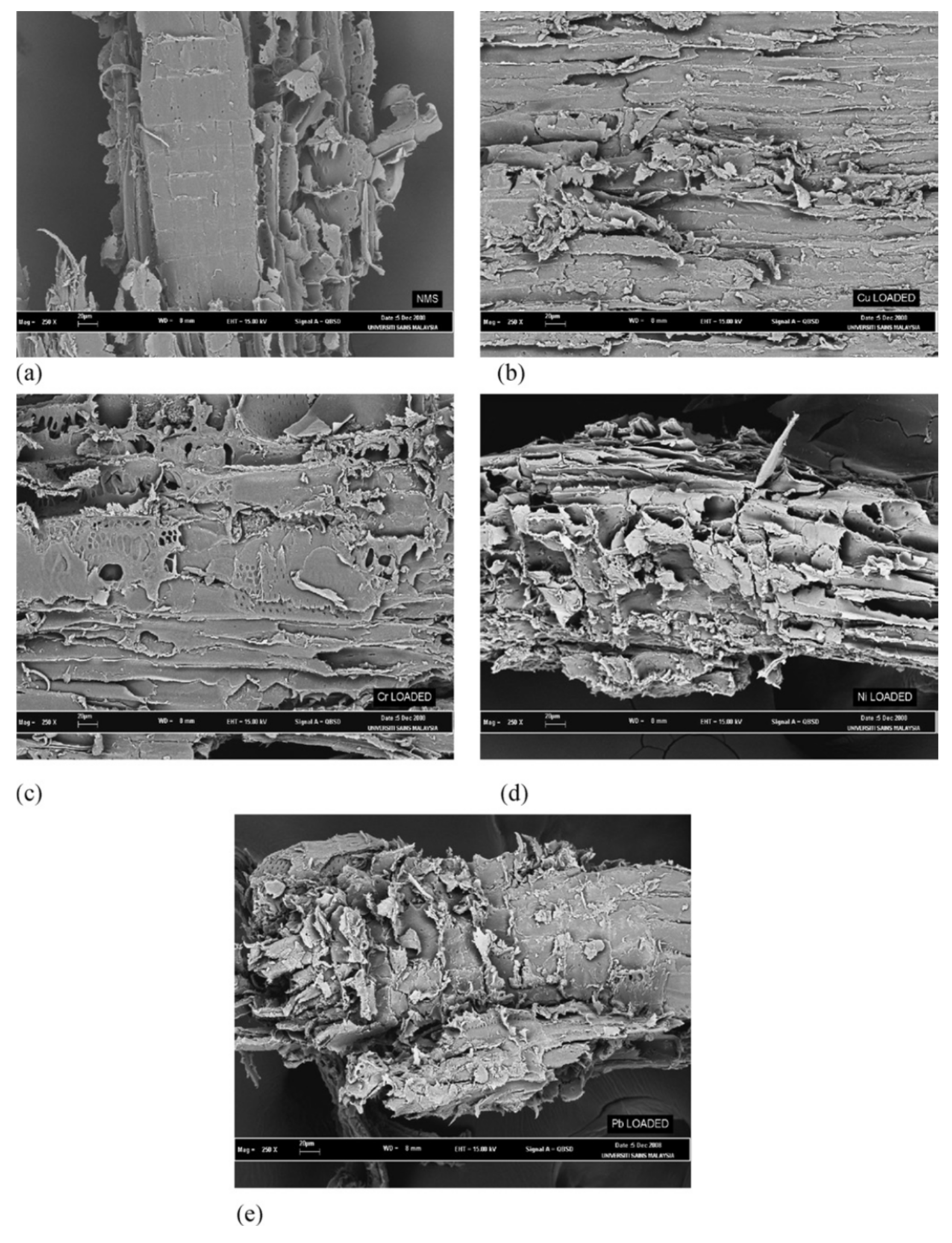 Molecules 26 04318 g004 550