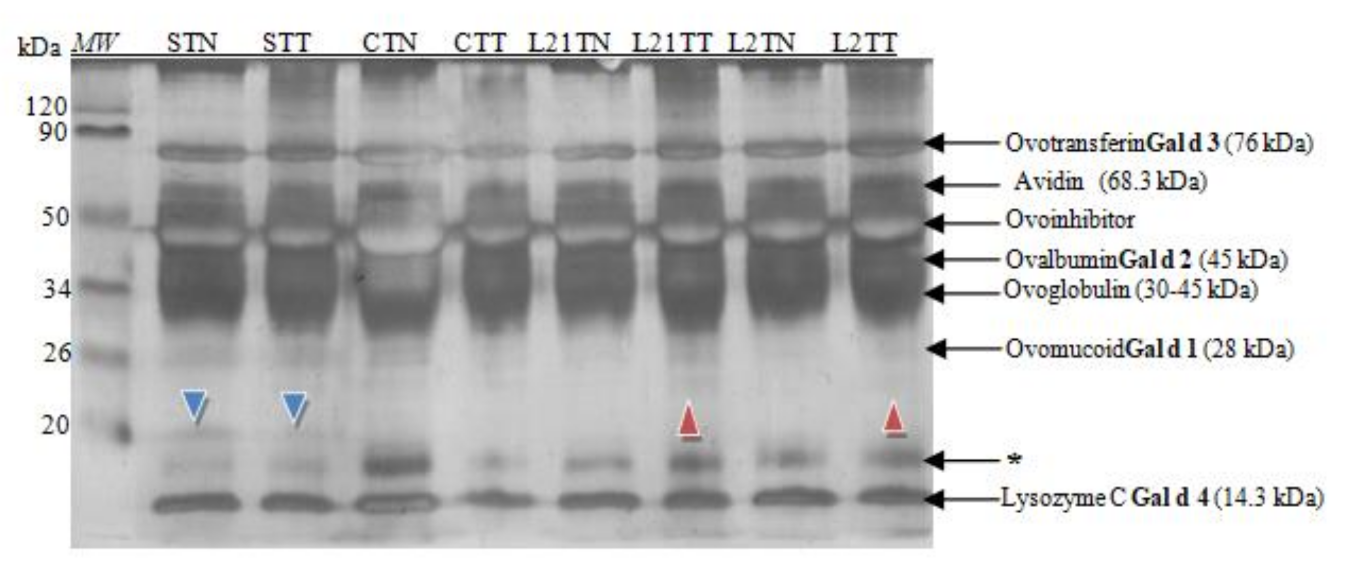 Molecules 26 04319 g002 Molecules 26 04319 g002