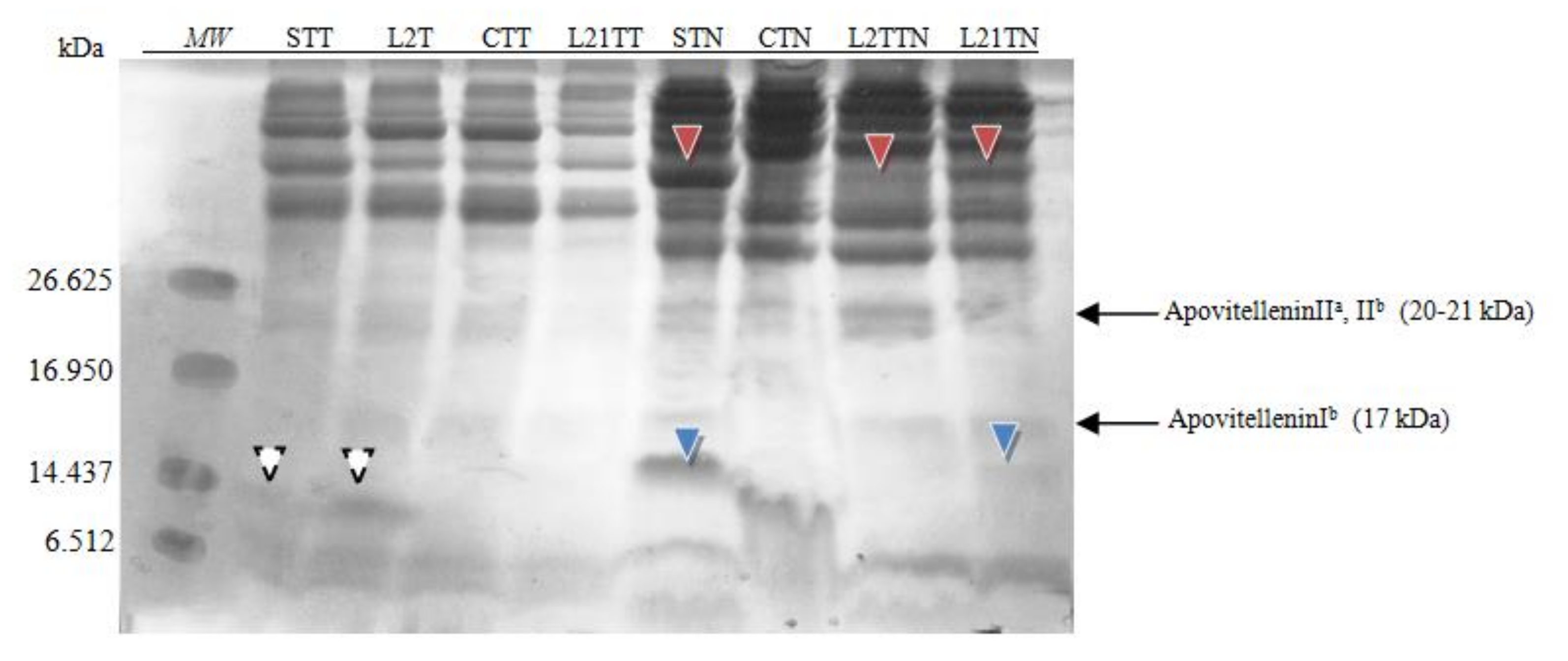 Molecules 26 04319 g005 Molecules 26 04319 g005