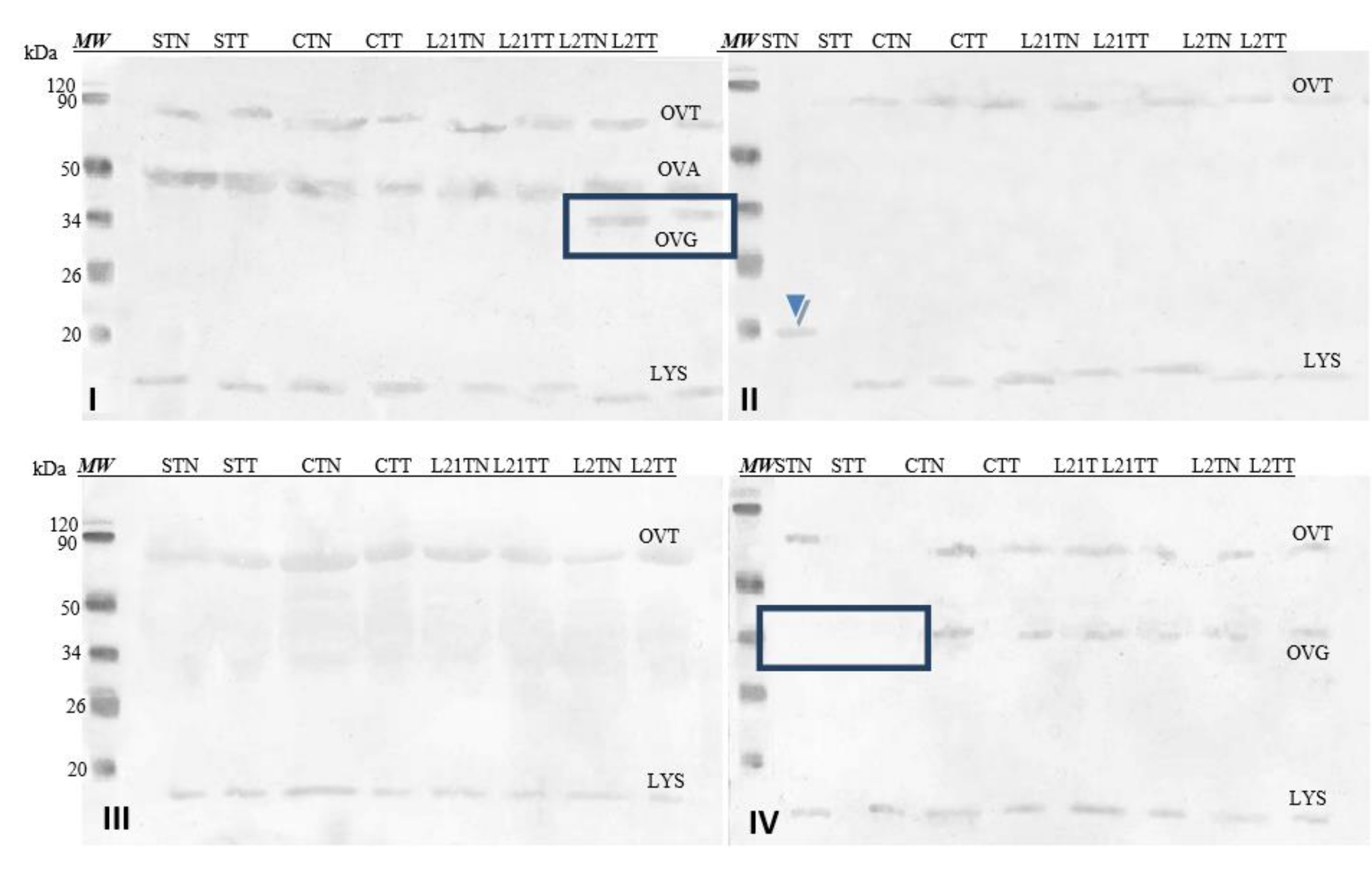 Molecules 26 04319 g006 Molecules 26 04319 g006