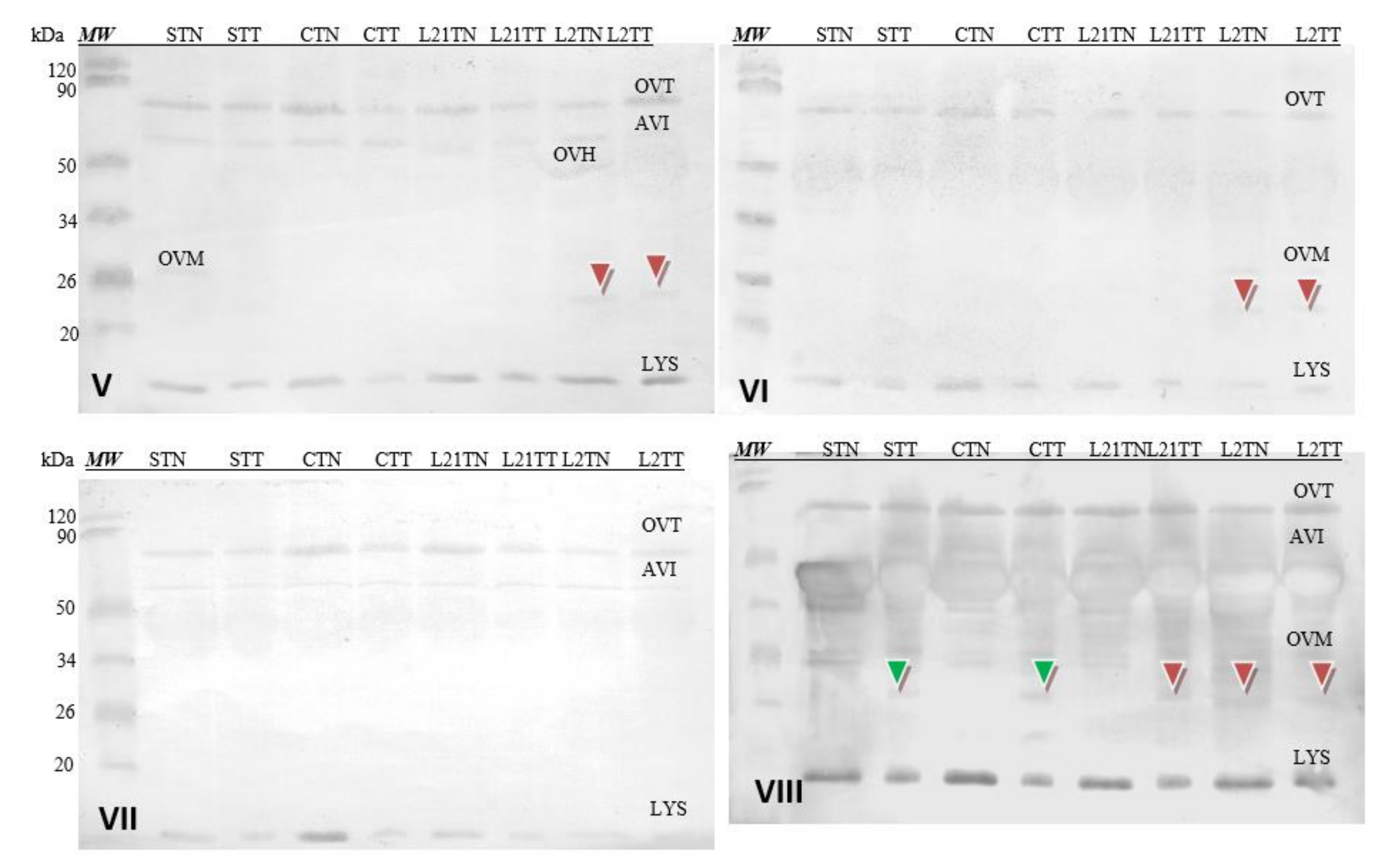 Molecules 26 04319 g008 Molecules 26 04319 g008
