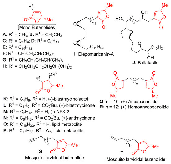 Molecules Free Full Text Organocatalytic Enantiospecific Total Synthesis Of Butenolides Html