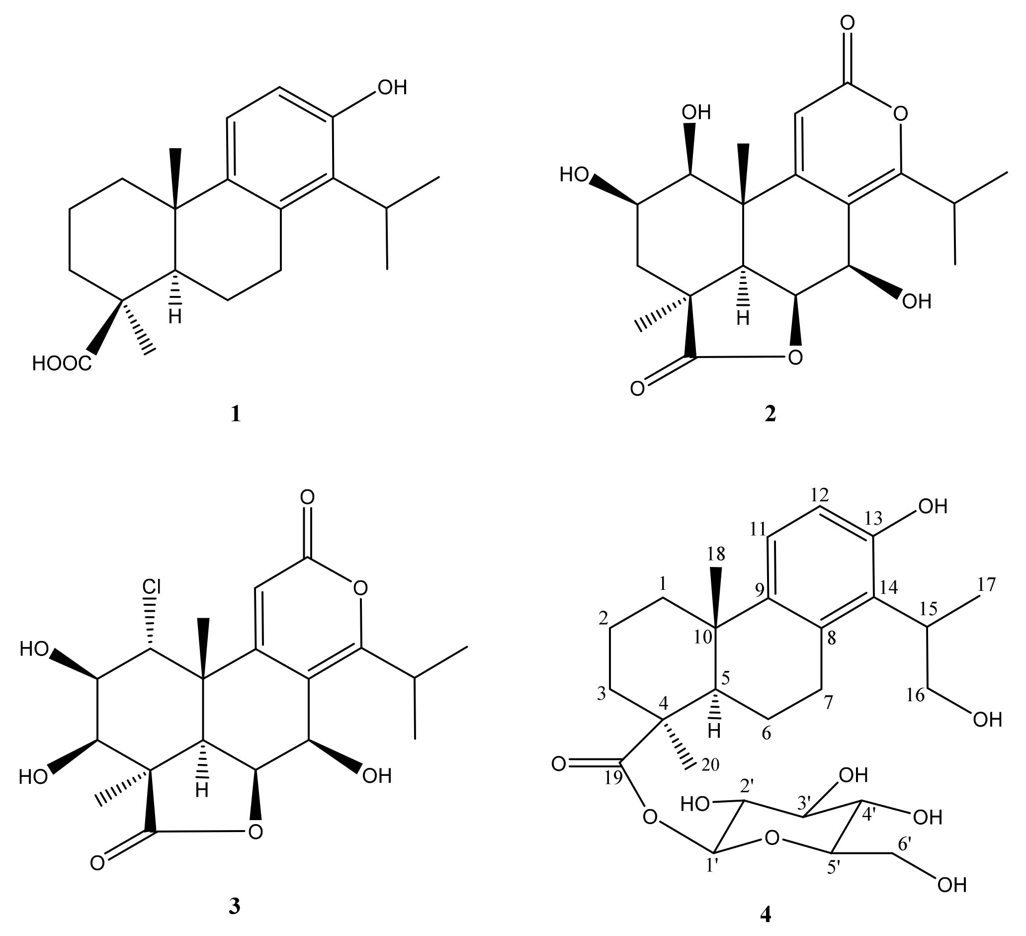 Molecules 26 04326 g003 Molecules 26 04326 g003