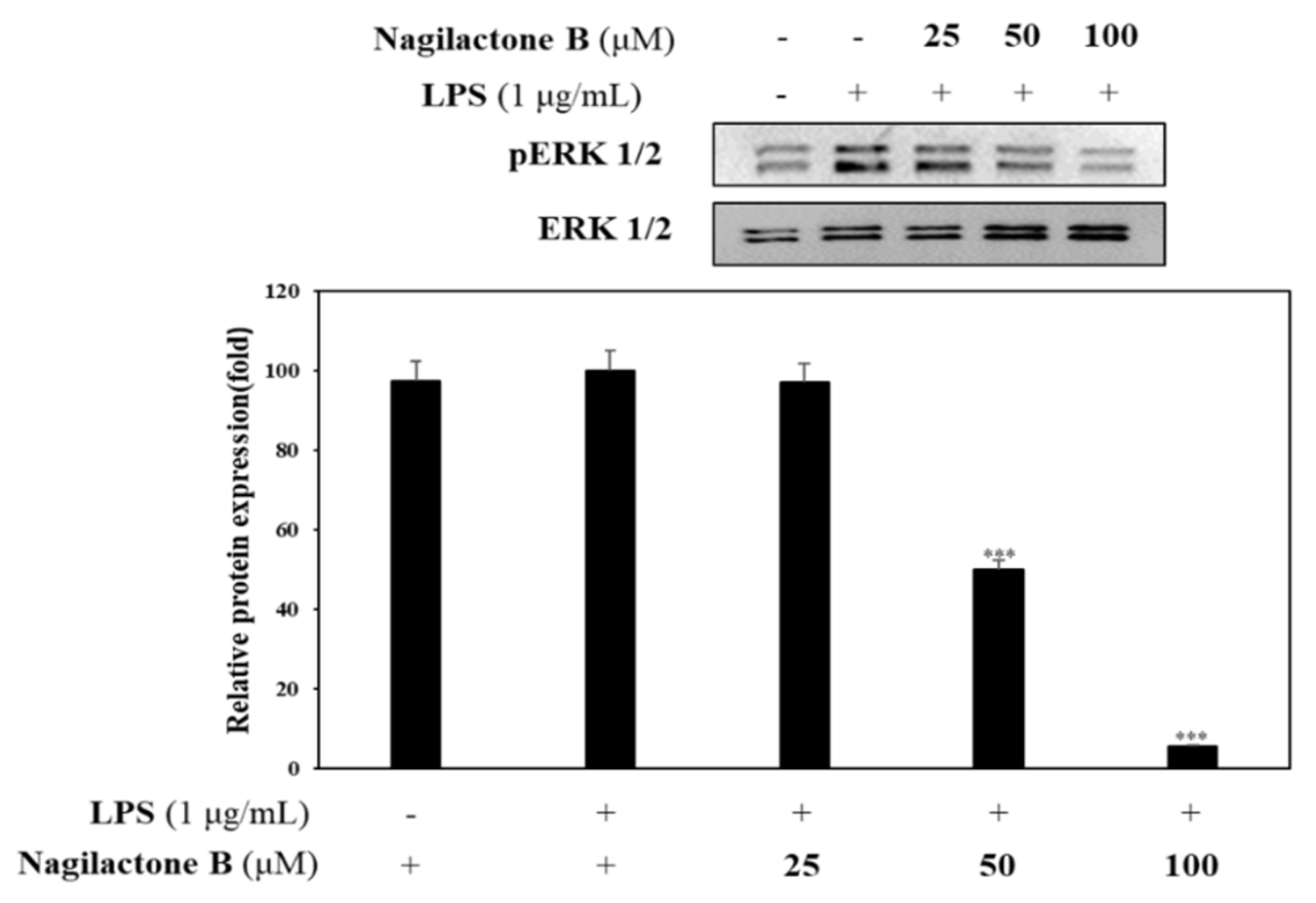 Molecules 26 04326 g006 Molecules 26 04326 g006
