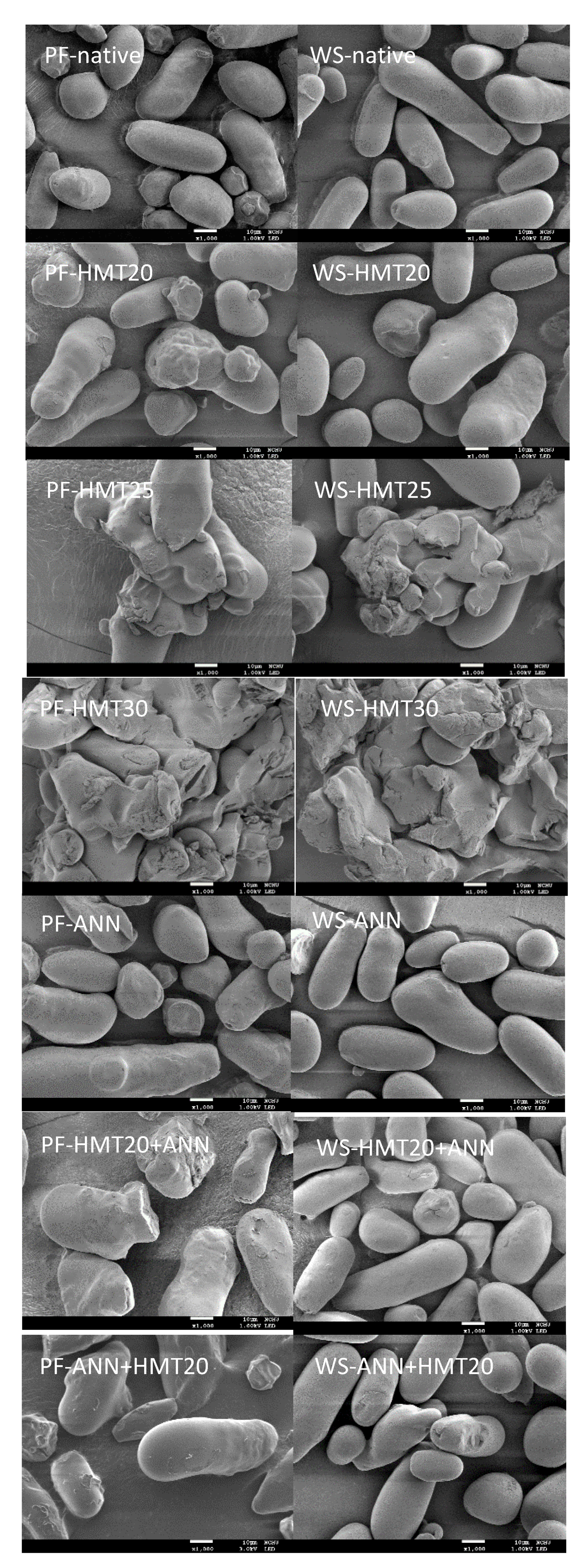 Molecules 26 04339 g003 Molecules 26 04339 g003