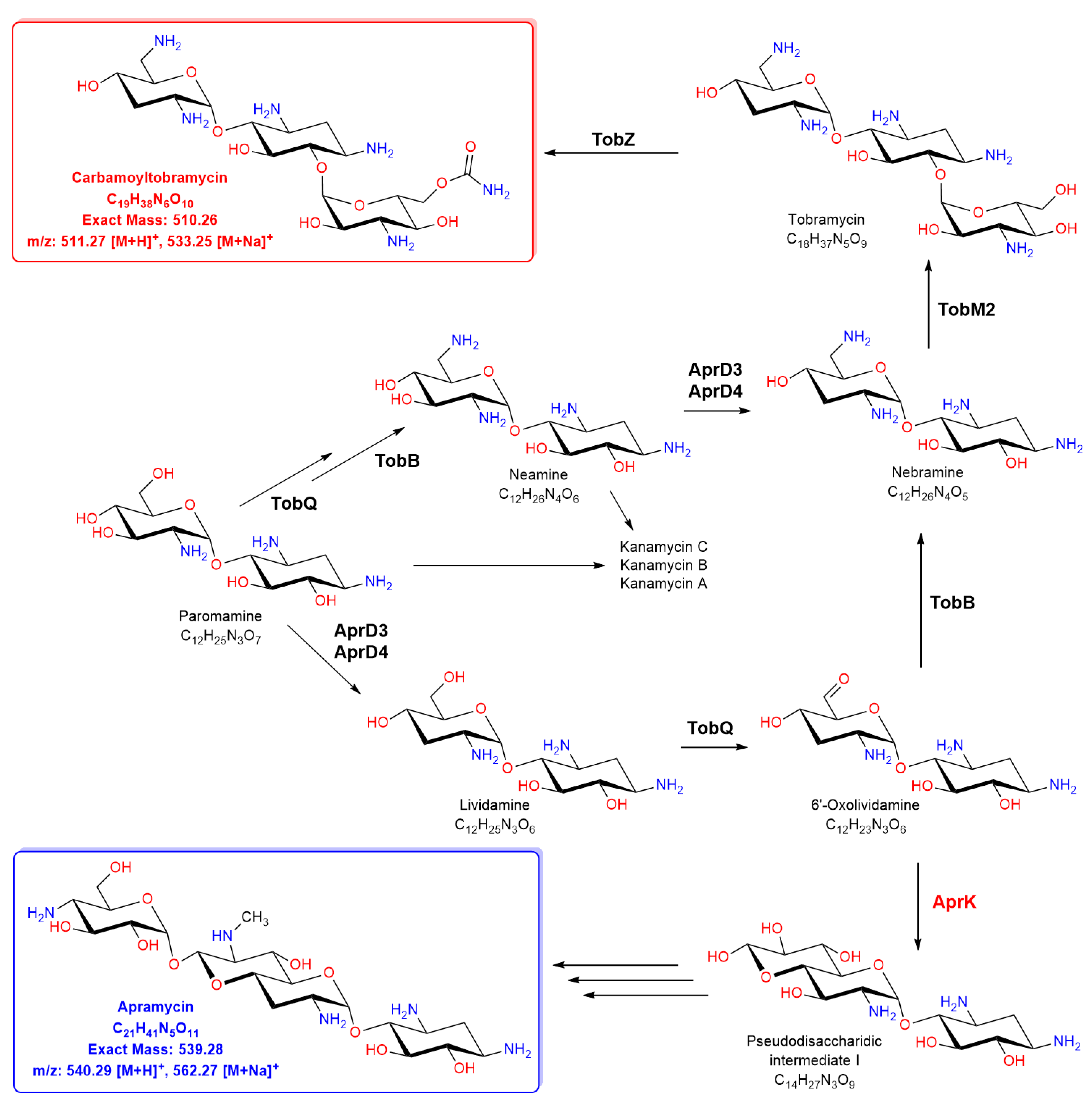 Molecules 26 04343 g001