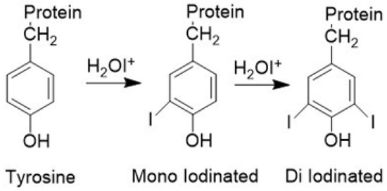 iodination of vanillin