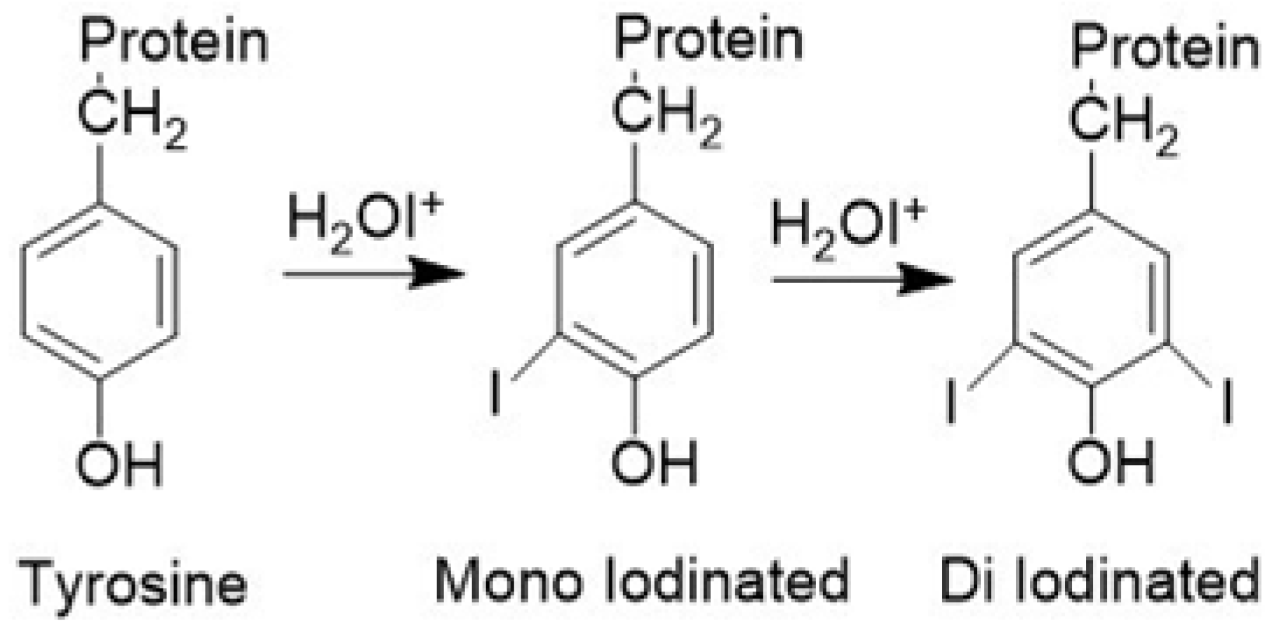 Molecules Free FullText A Novel Reagent for Radioiodine Labeling of New Chemical Entities