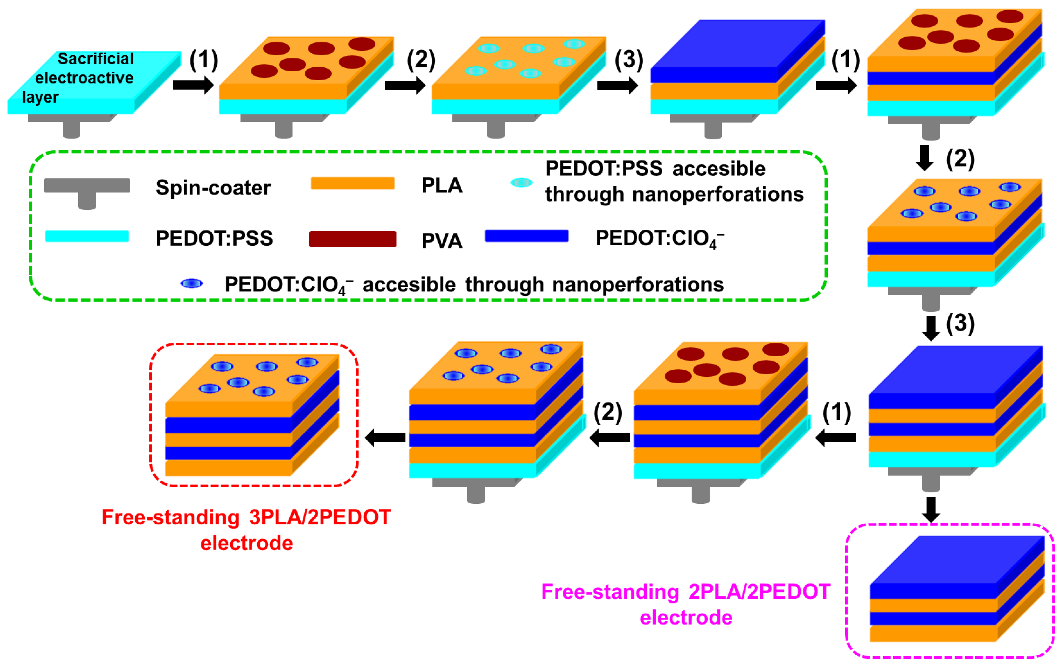 Molecules 26 04345 g001 Molecules 26 04345 g001