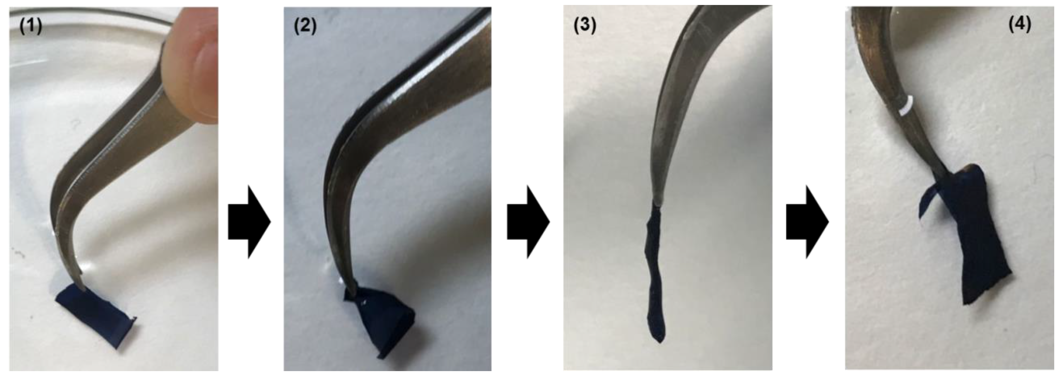 Molecules 26 04345 g002 Molecules 26 04345 g002