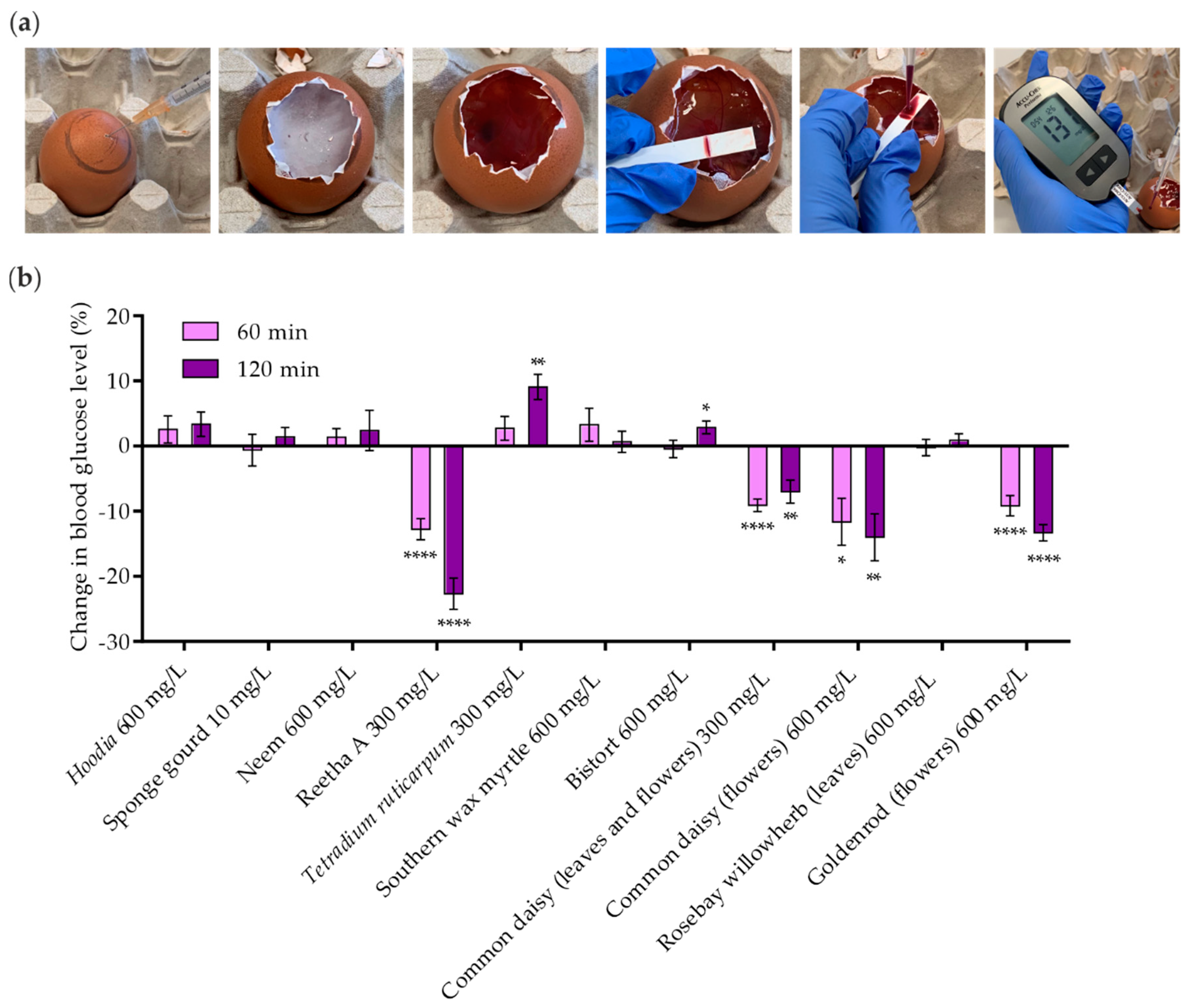Molecules 26 04346 g006