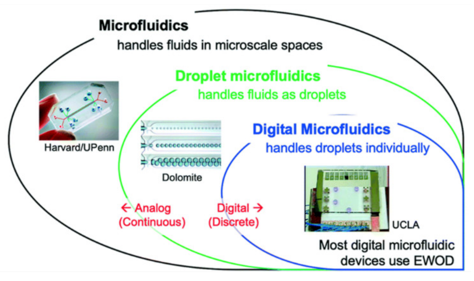 Molecules 26 04354 g001 Molecules 26 04354 g001