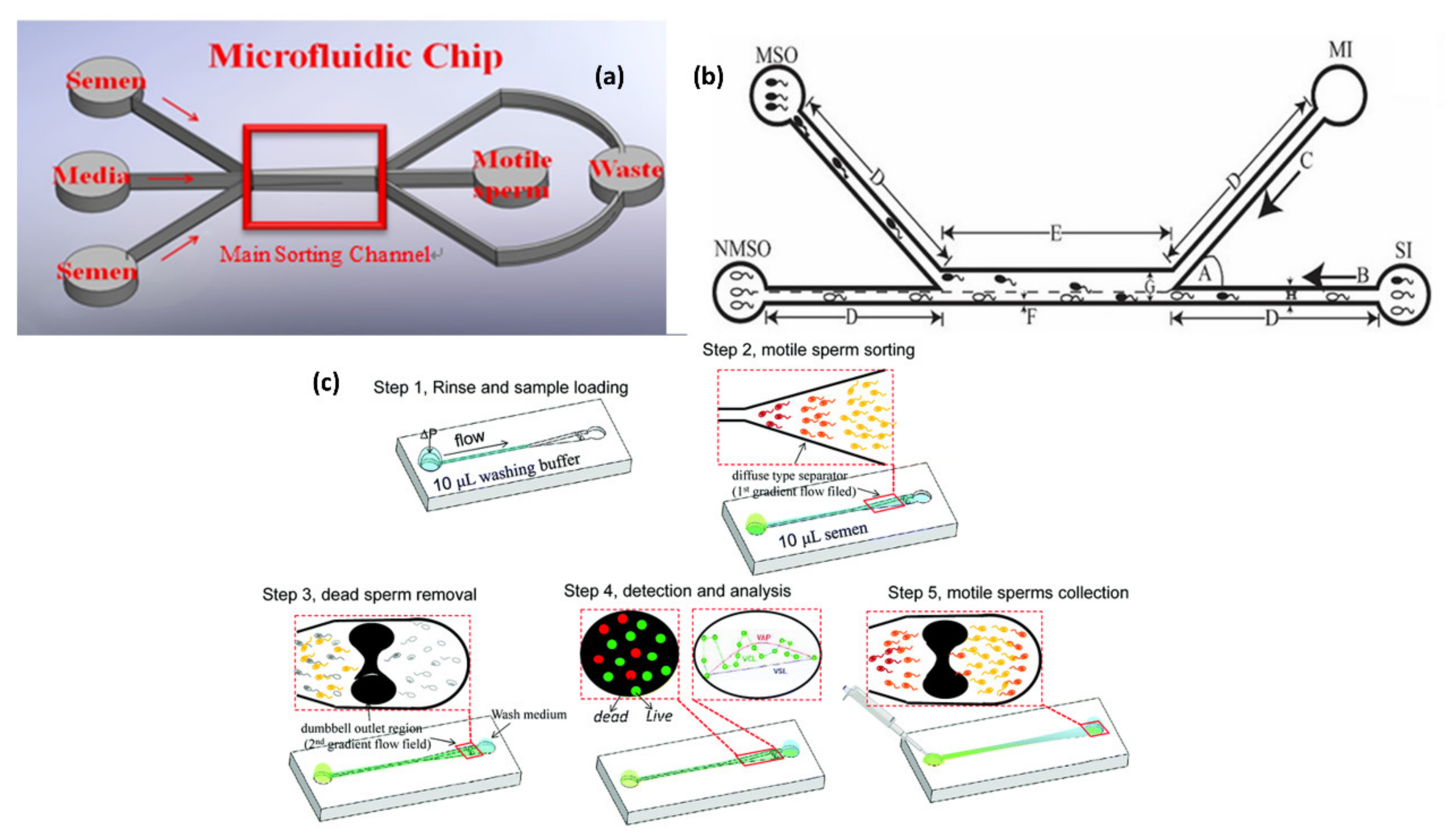 Molecules 26 04354 g002 Molecules 26 04354 g002
