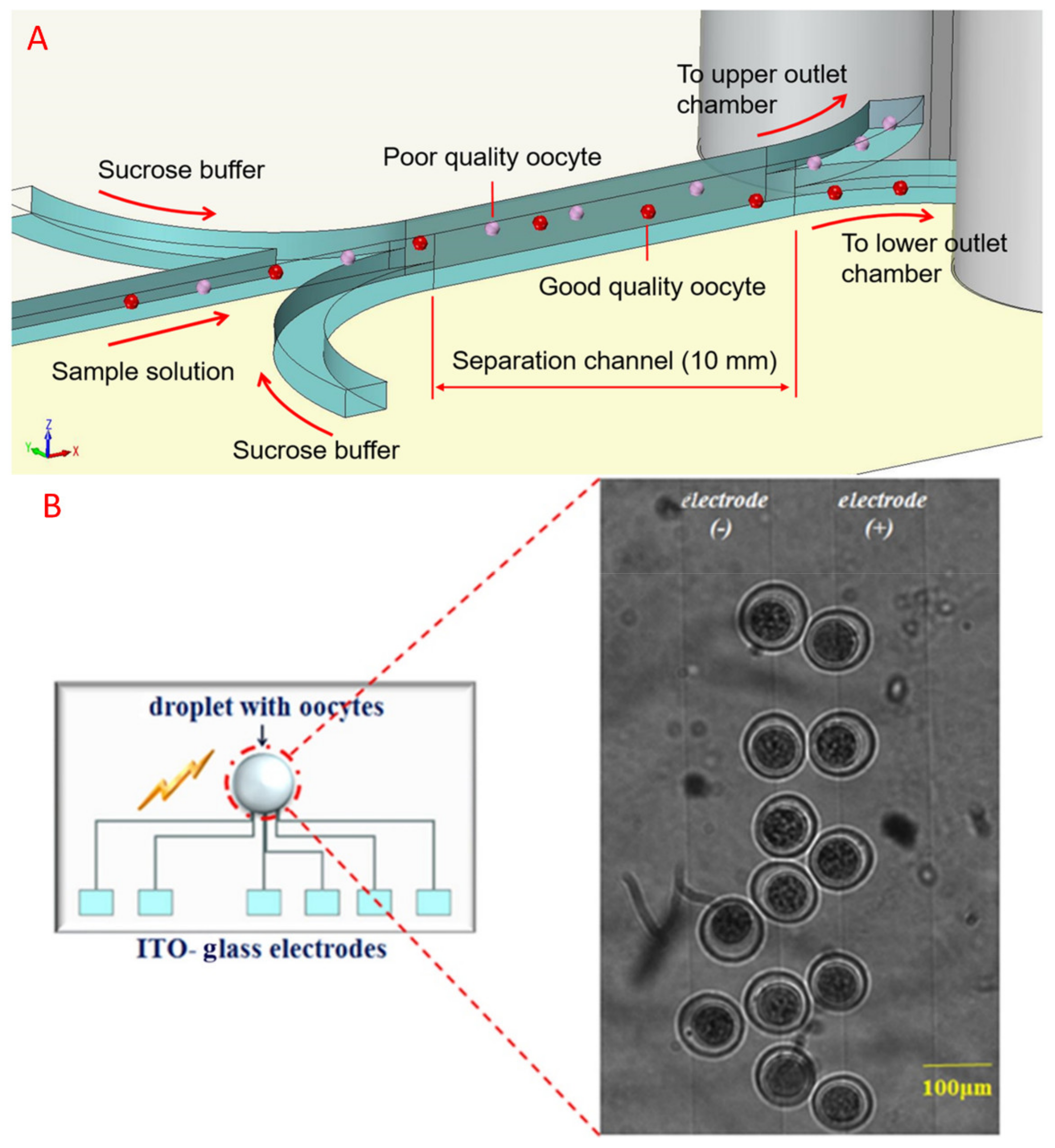 Molecules 26 04354 g003 Molecules 26 04354 g003