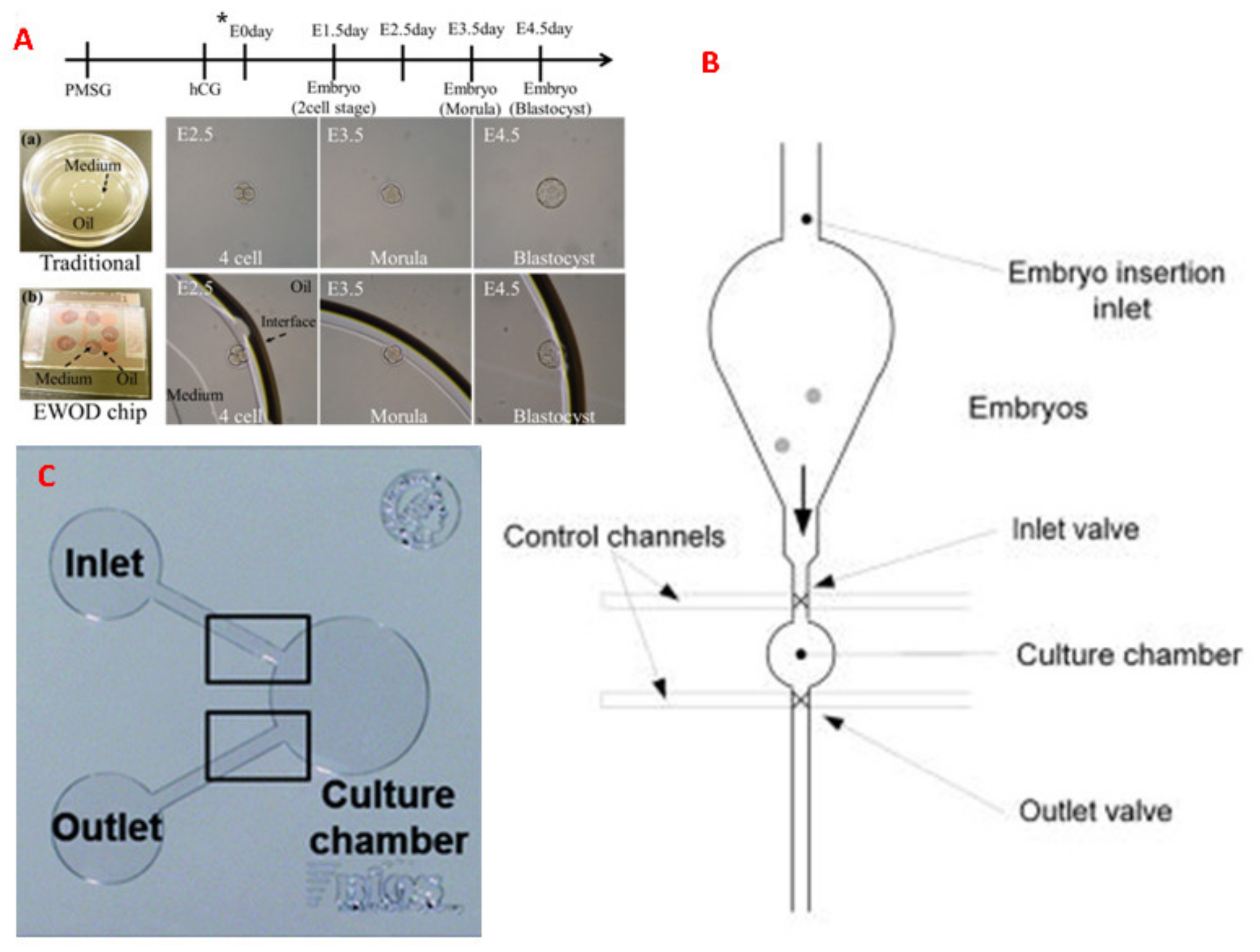 Molecules 26 04354 g004 Molecules 26 04354 g004