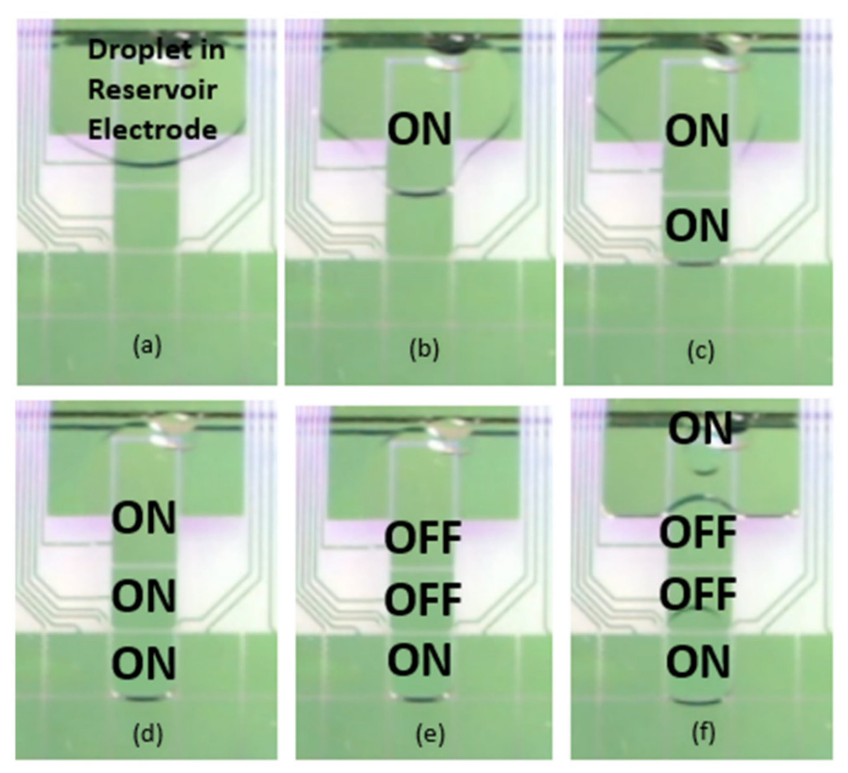 Molecules 26 04354 g005 Molecules 26 04354 g005
