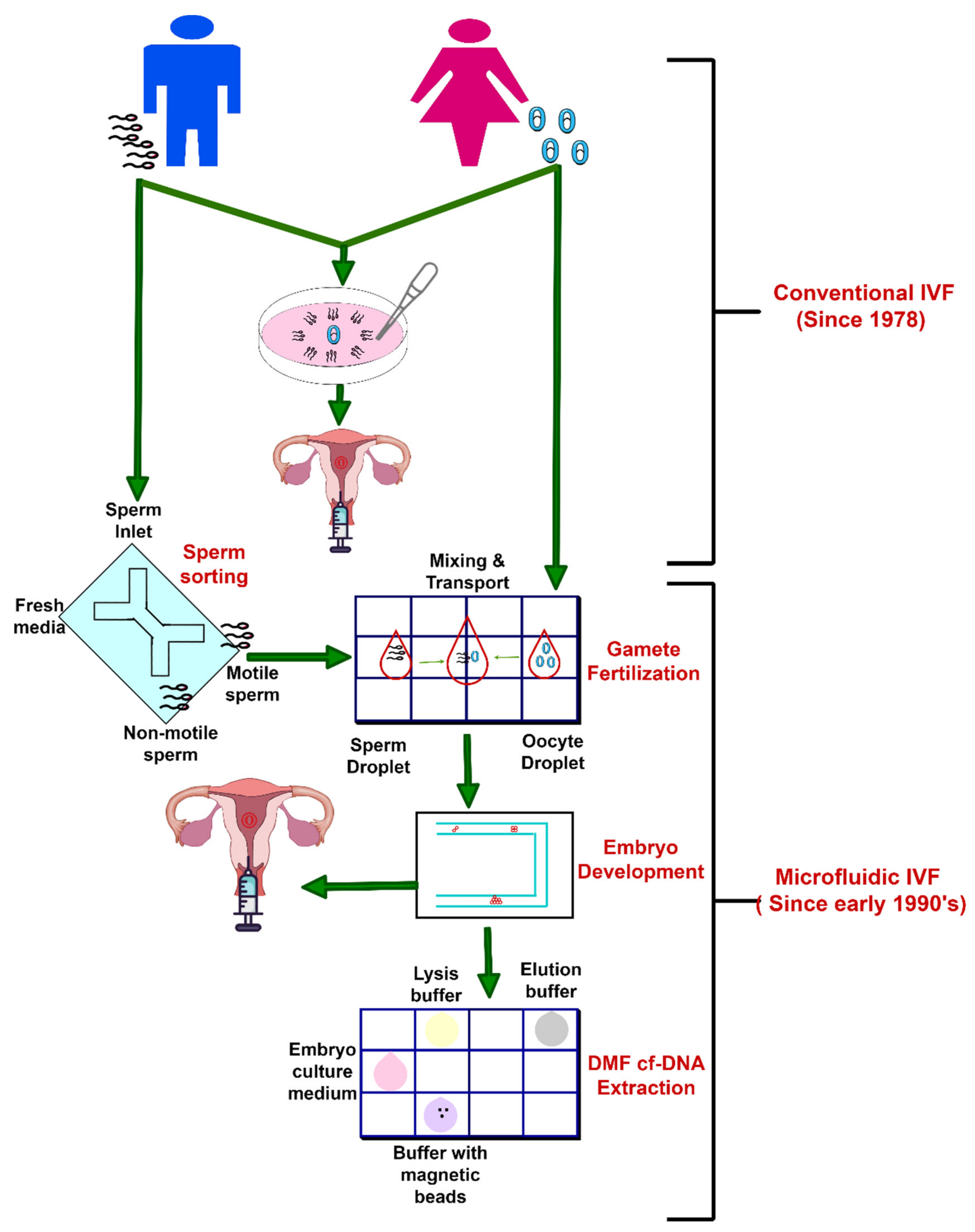 Molecules 26 04354 g006 Molecules 26 04354 g006