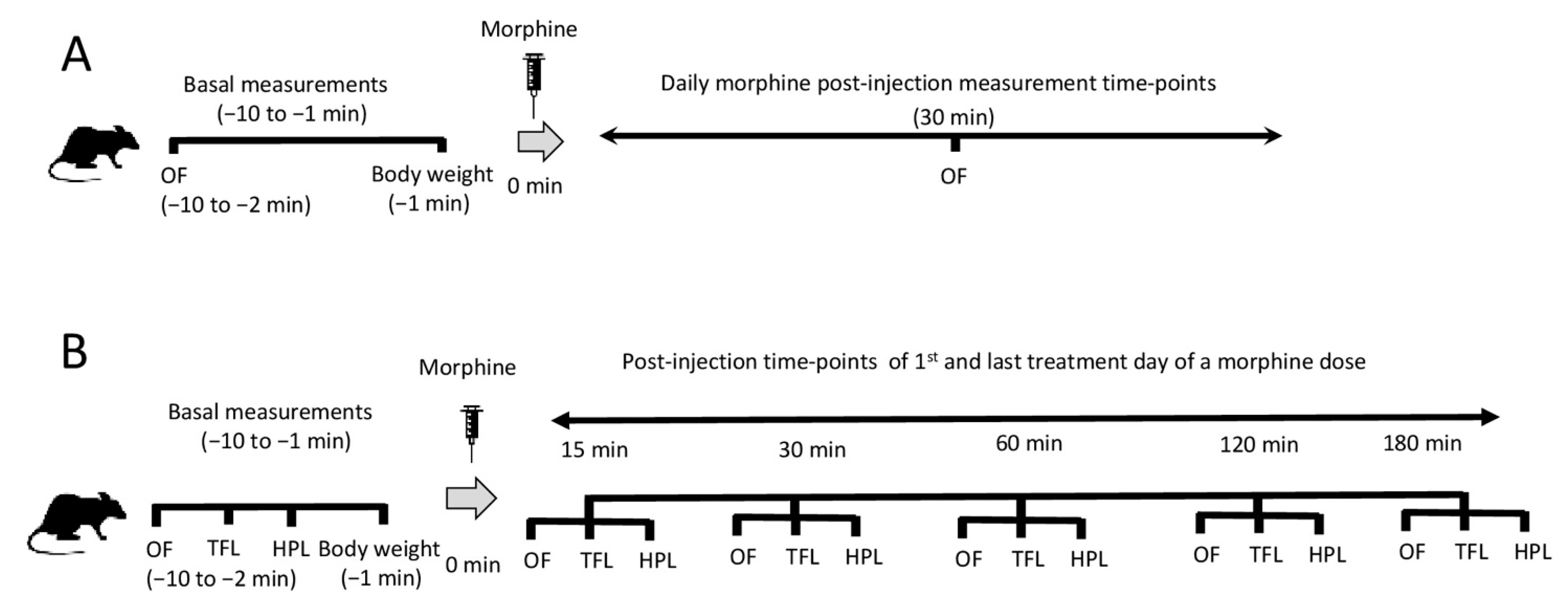 Molecules 26 04355 g006