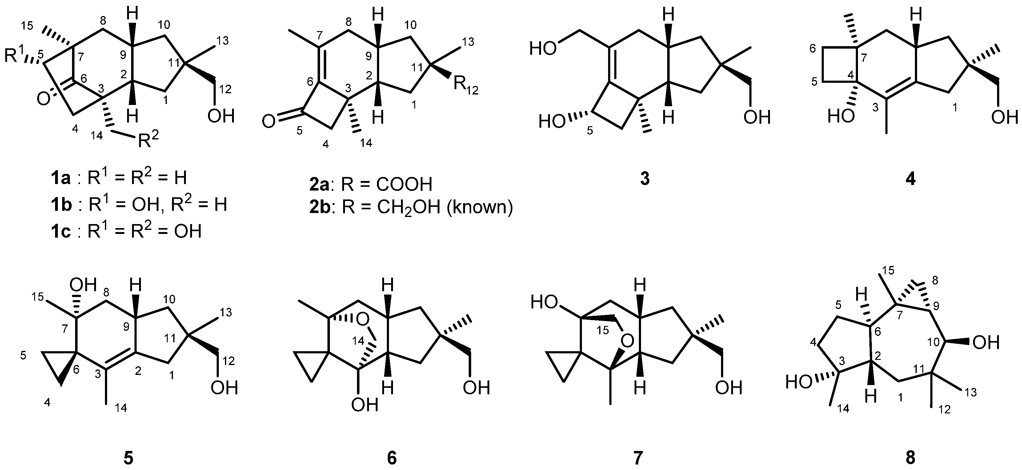 Molecules 26 04364 g001
