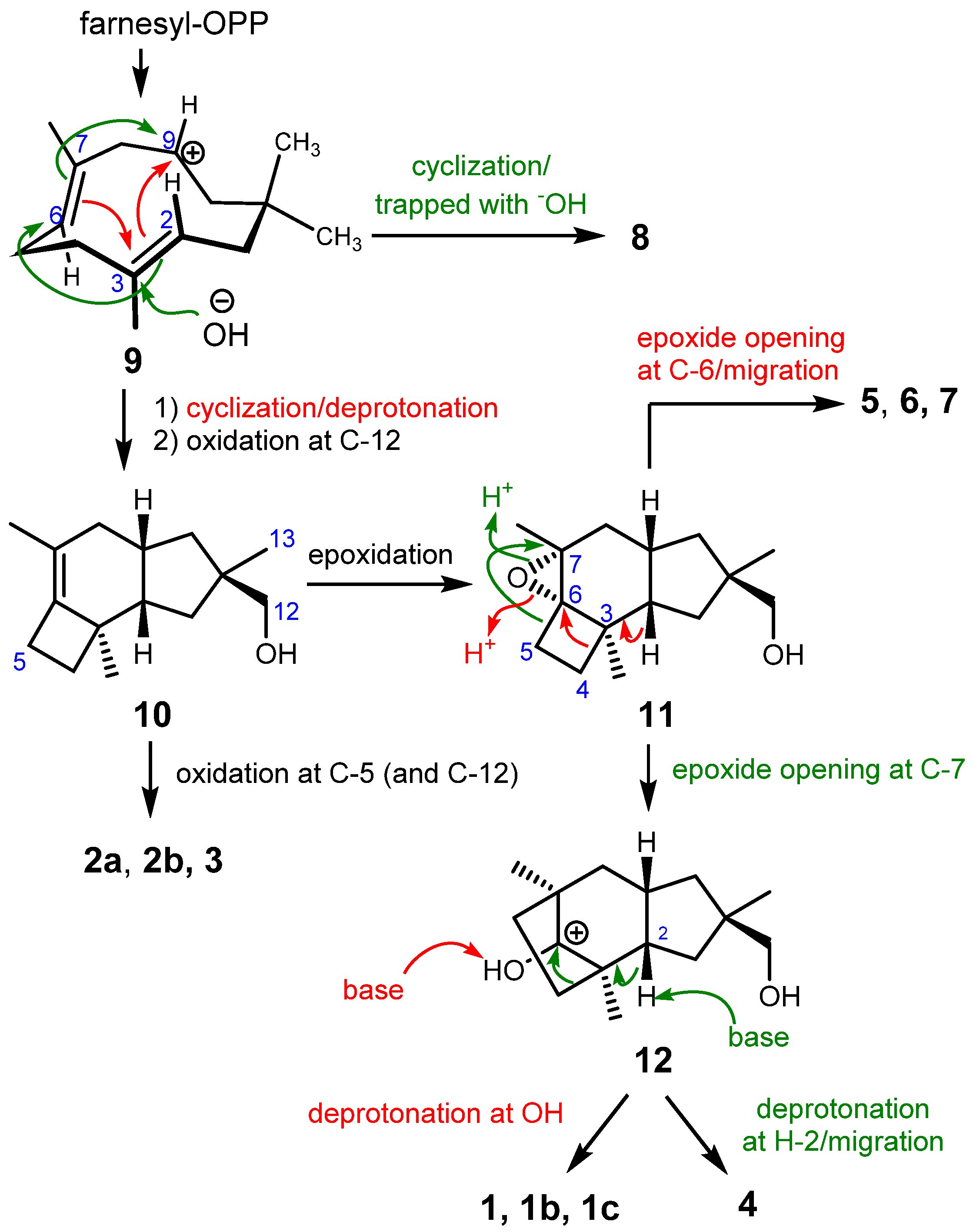 Molecules 26 04364 sch001