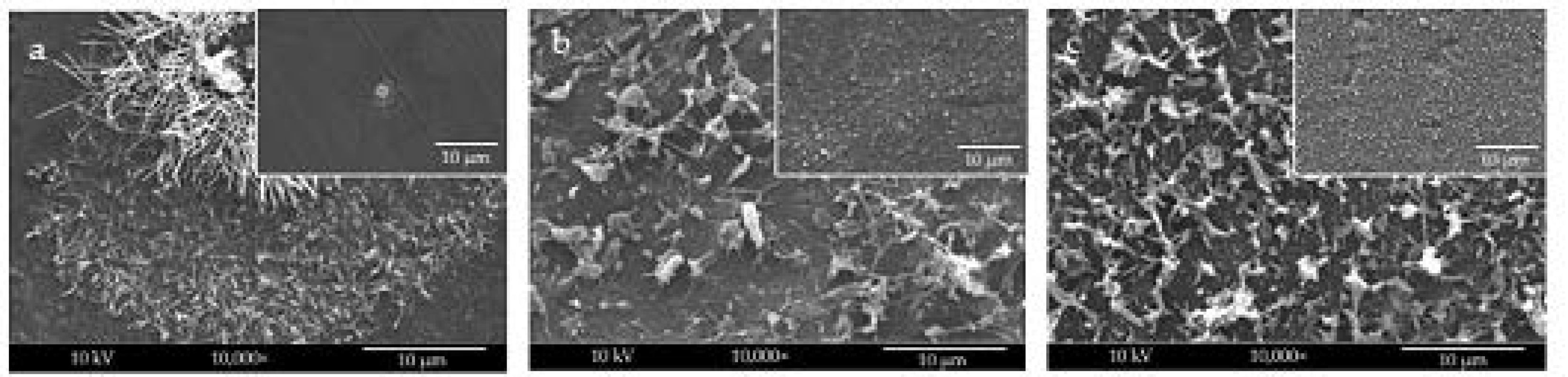 Molecules 26 04374 g001 550