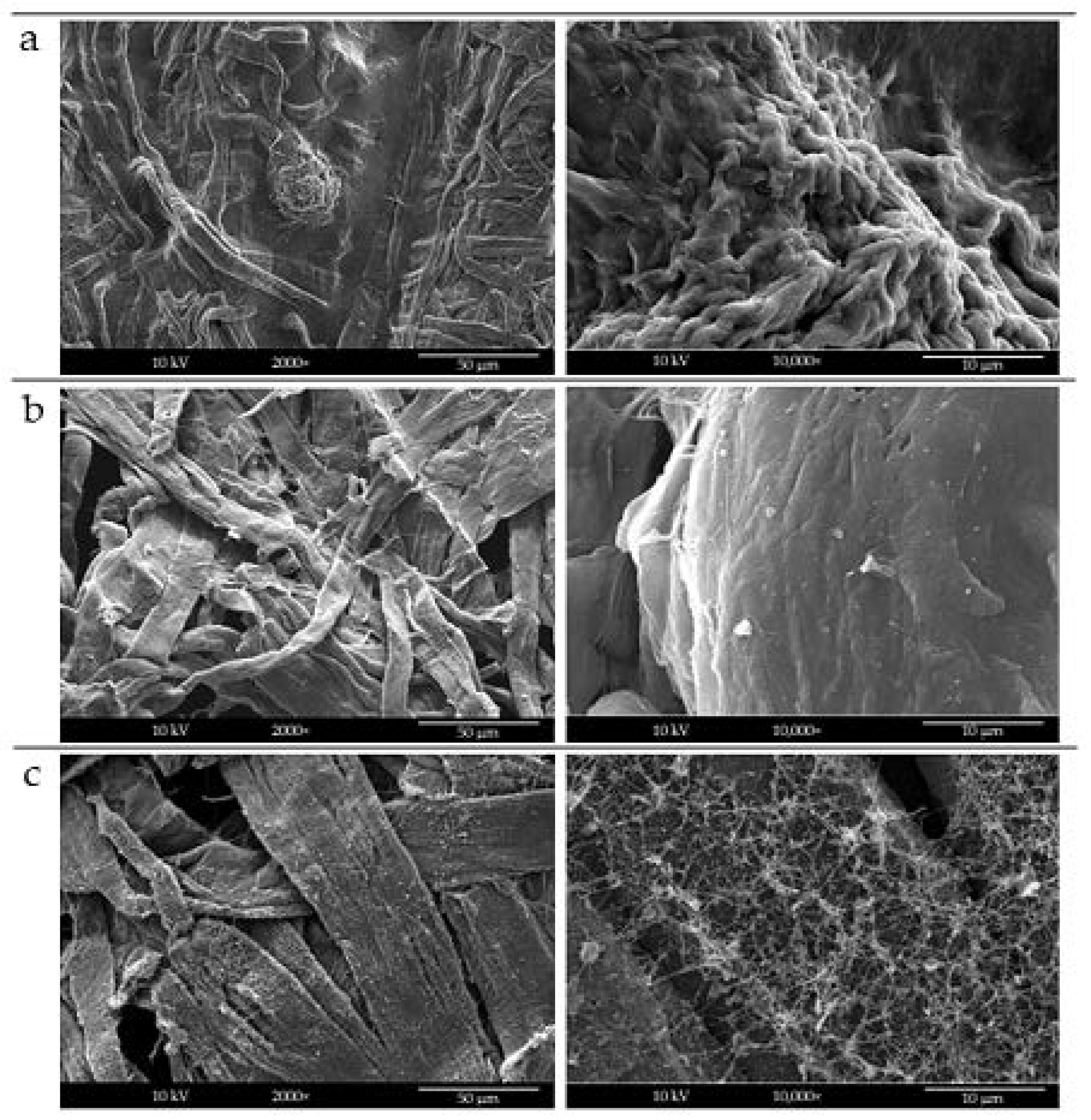 Molecules 26 04374 g002 550