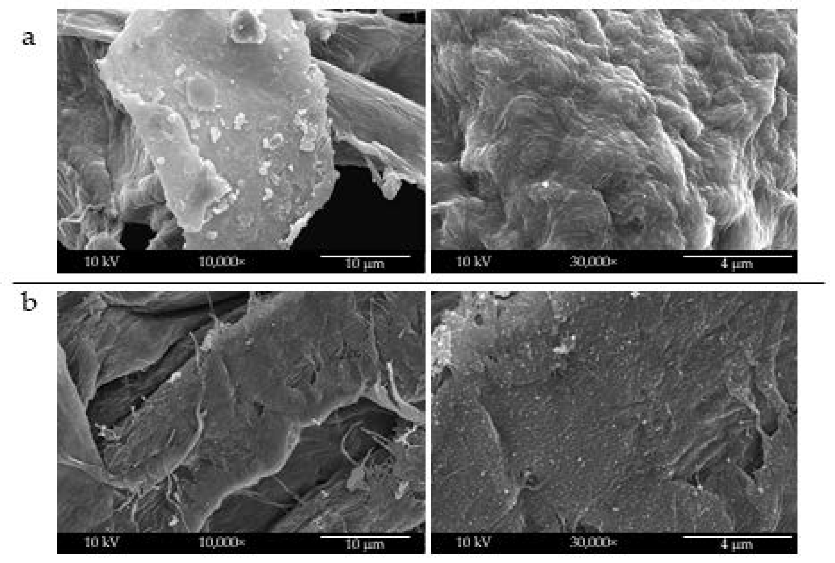 Molecules 26 04374 g003 550