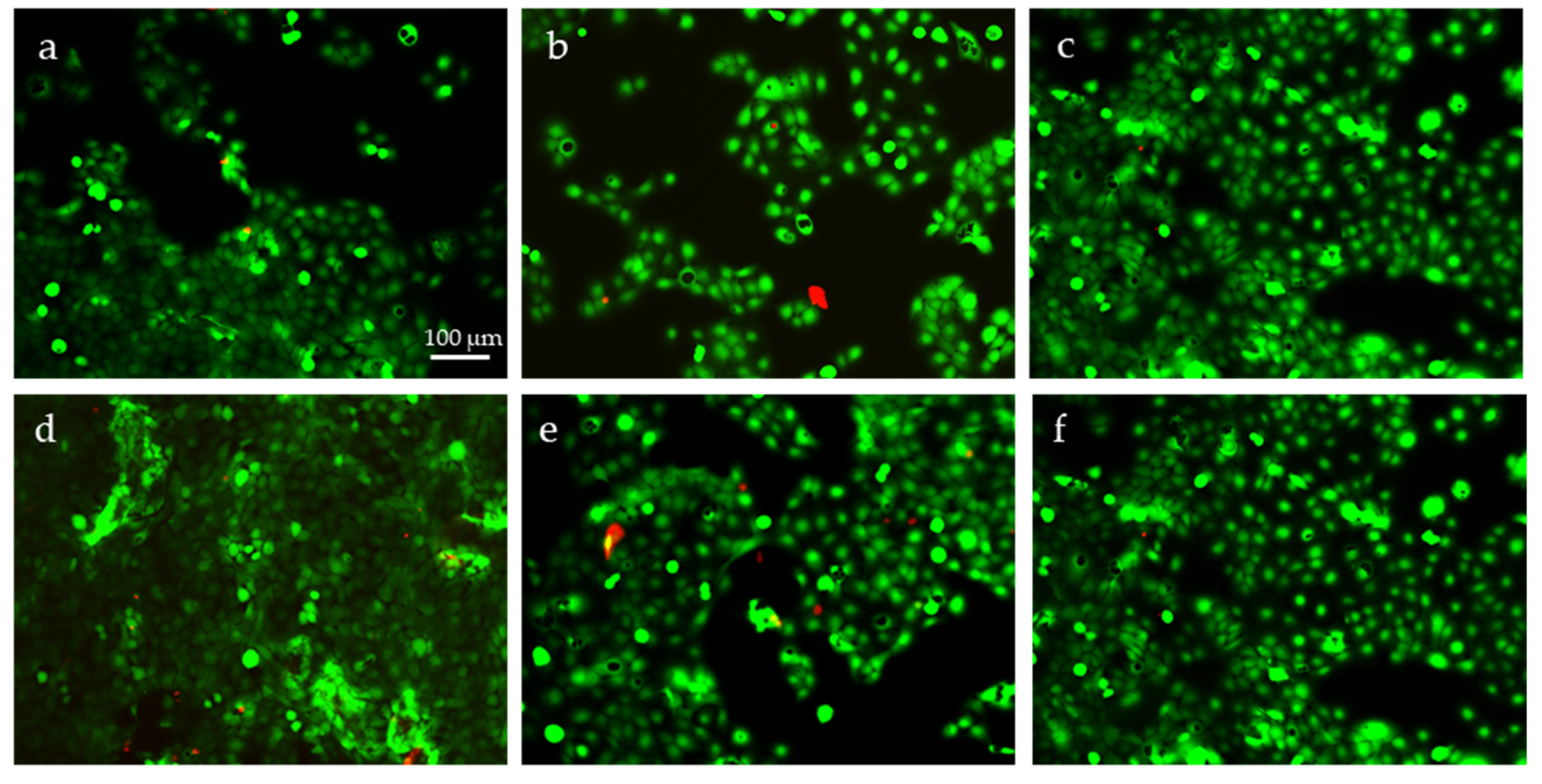 Molecules 26 04374 g006 550